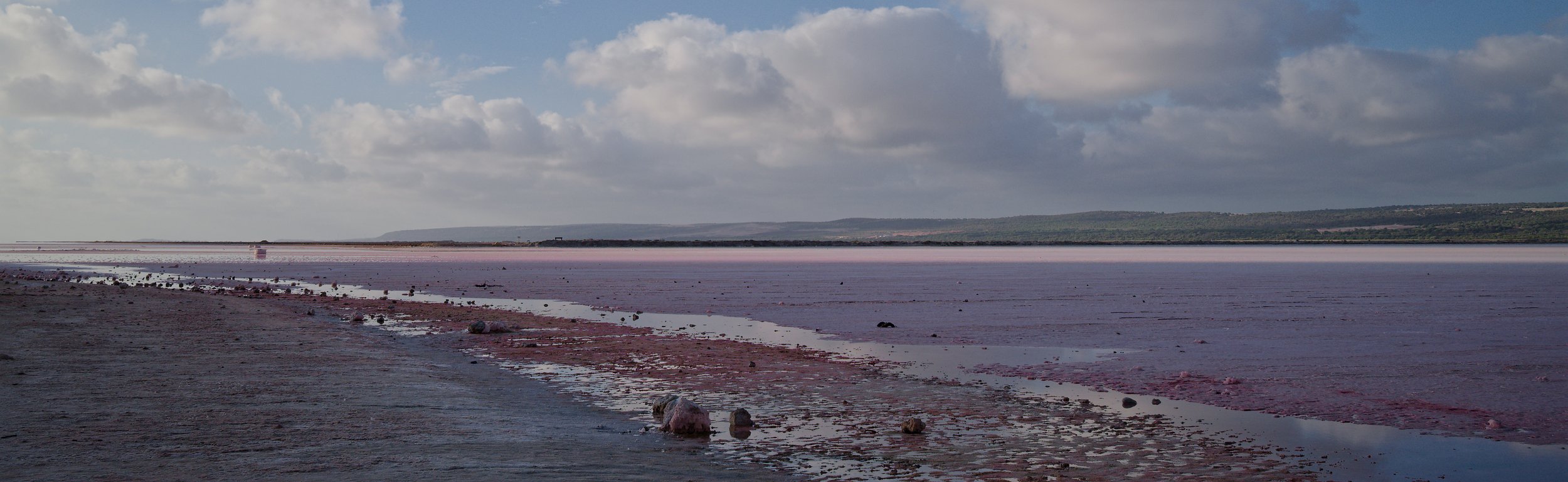 DSCF2408.jpg