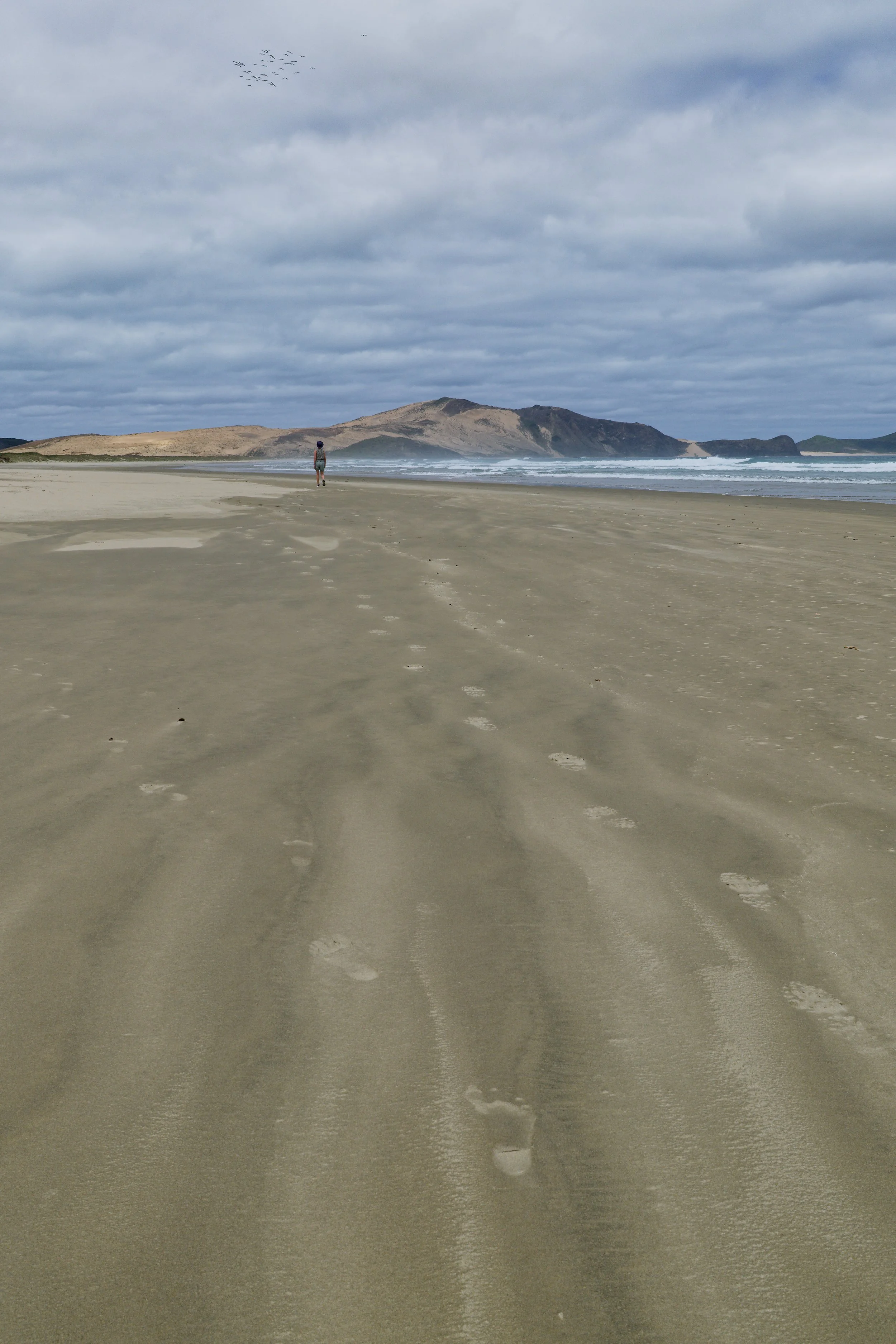 DSCF1838.jpg