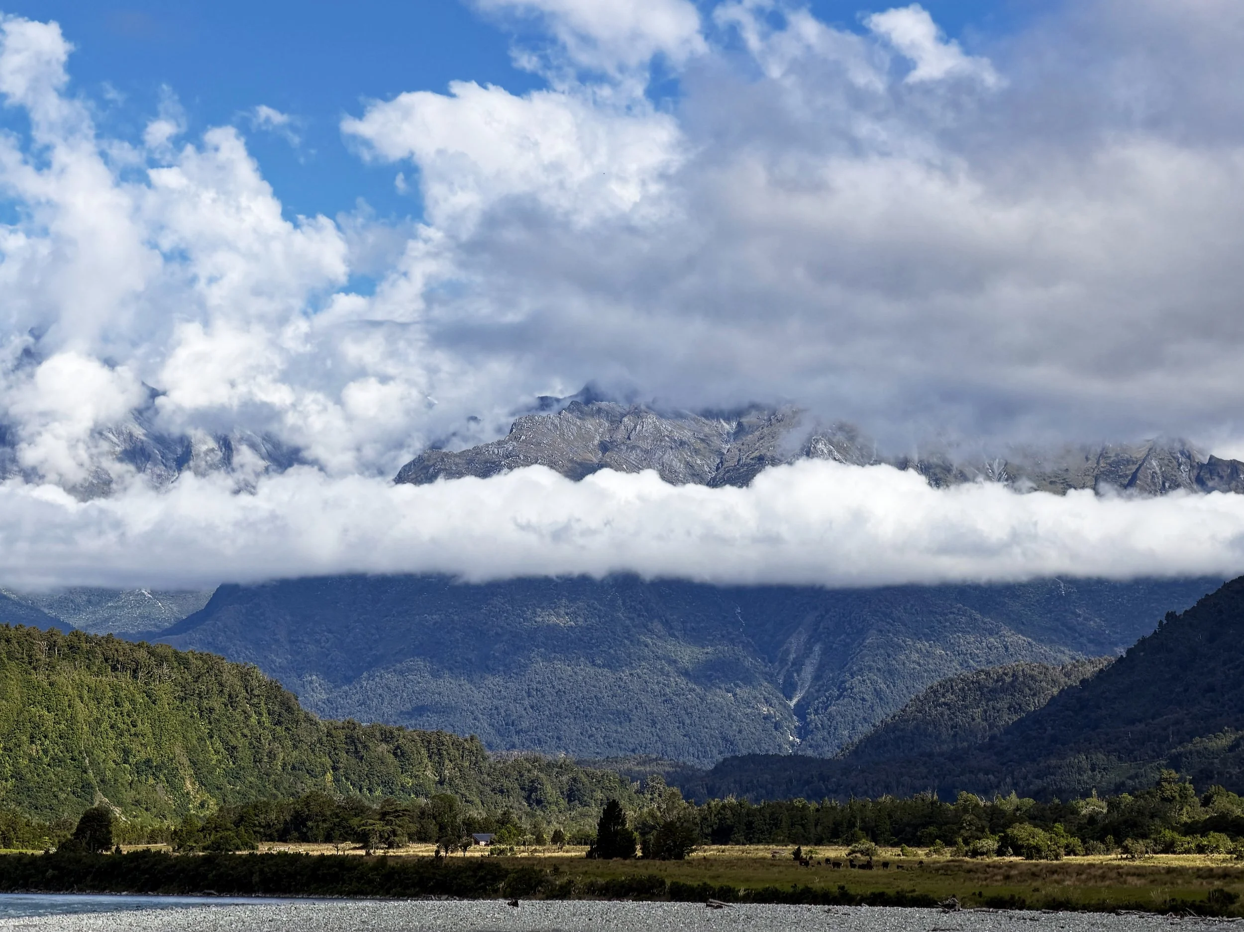 Hokatika_Gorge_TURNER.jpg
