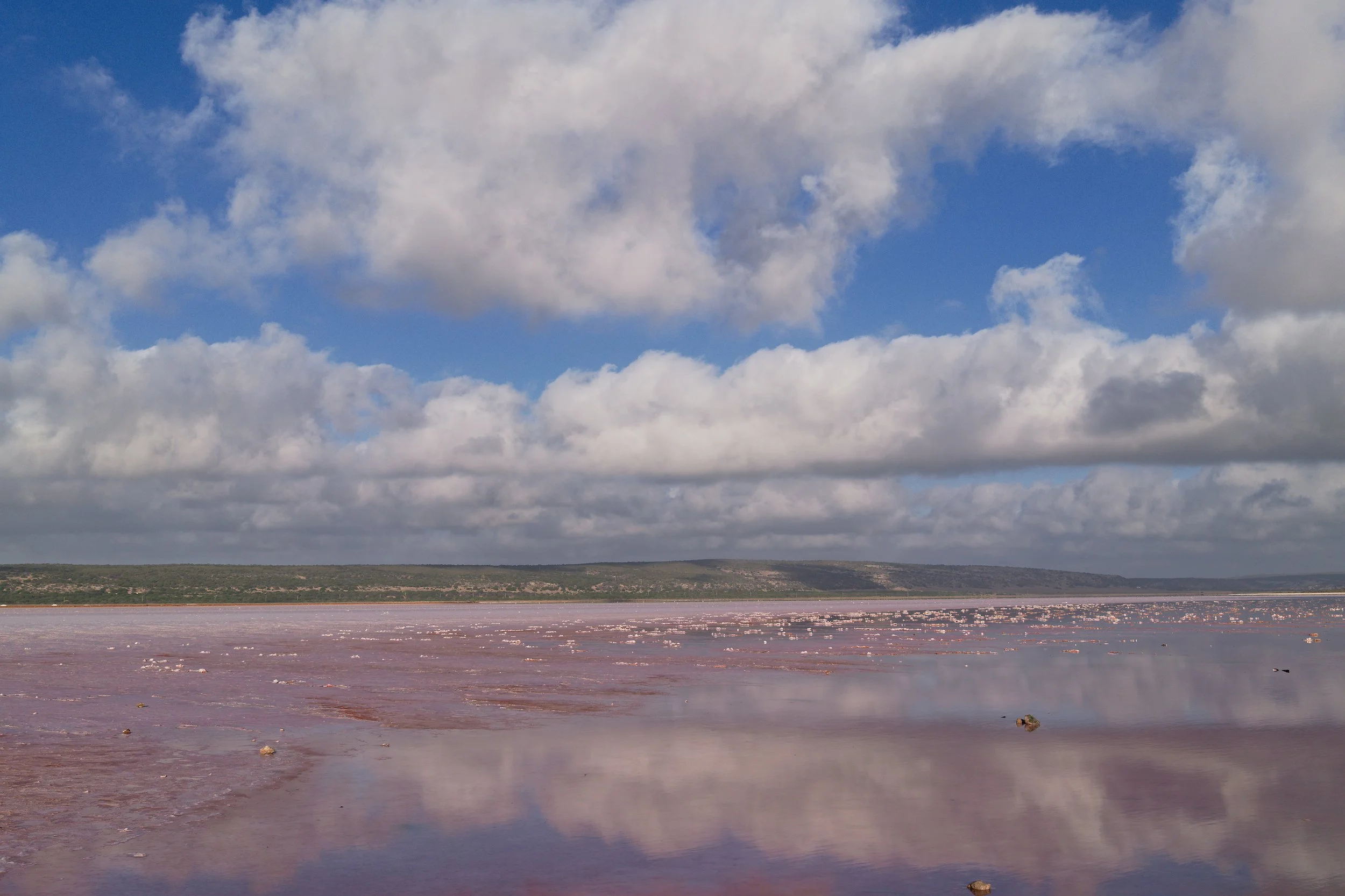 DSCF2407.jpg