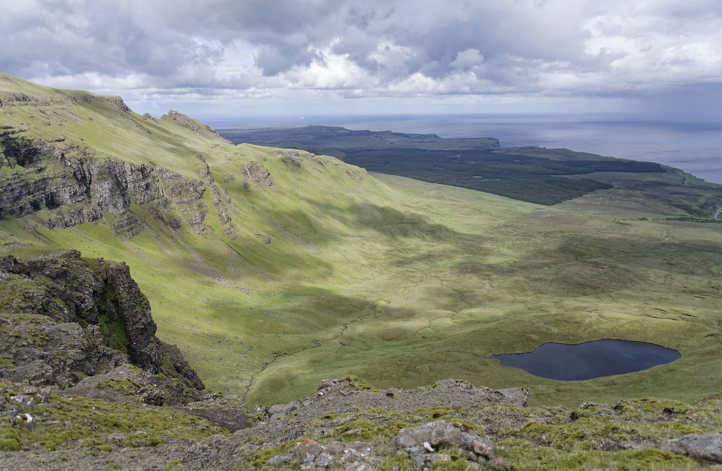 _DSC7979.jpg