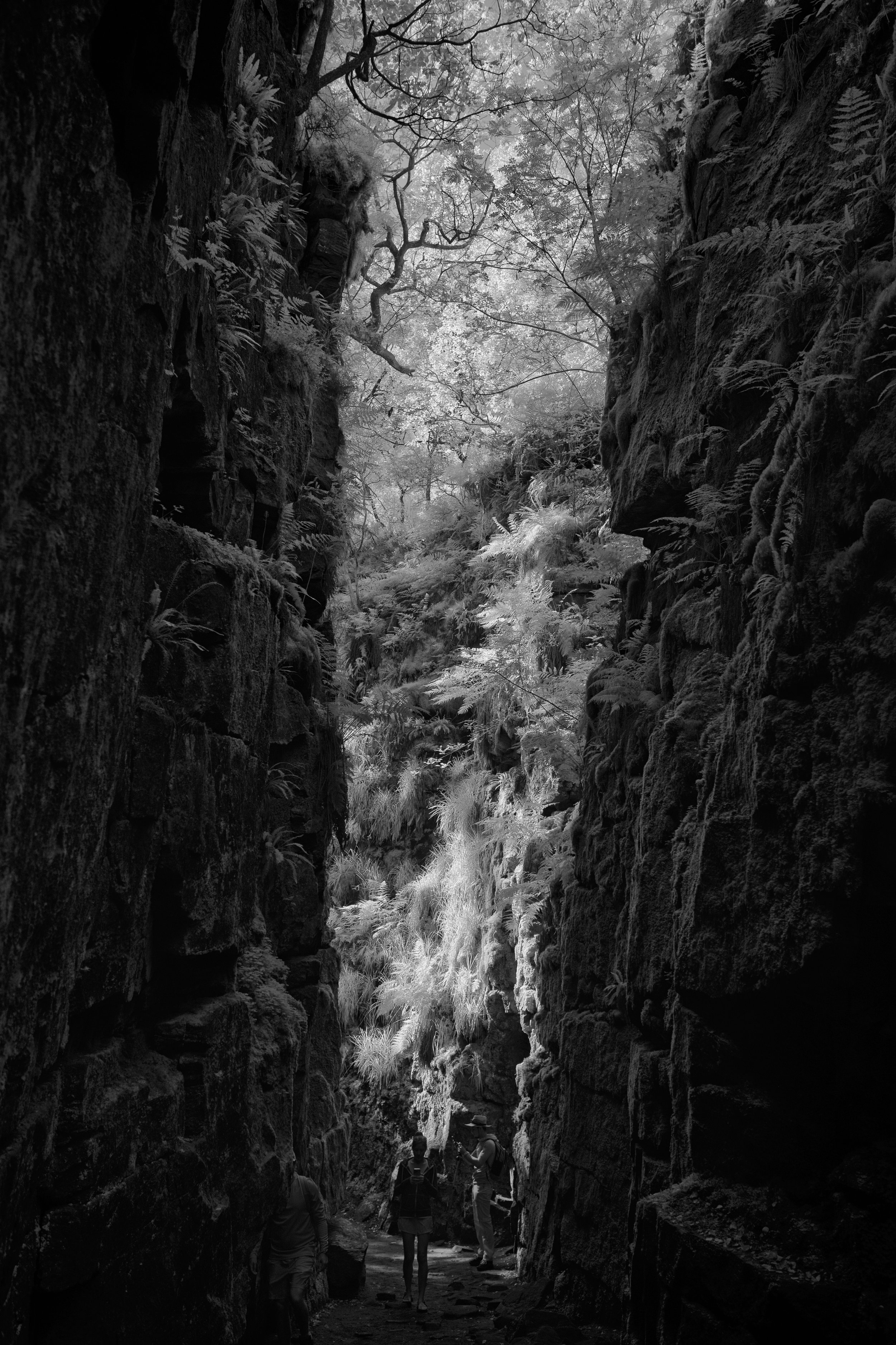 Lud's Church, Staffordshire