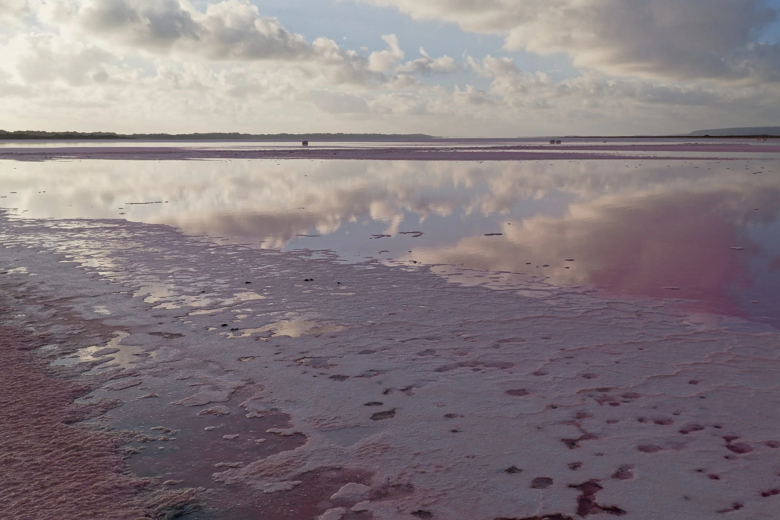 DSCF2410.jpg