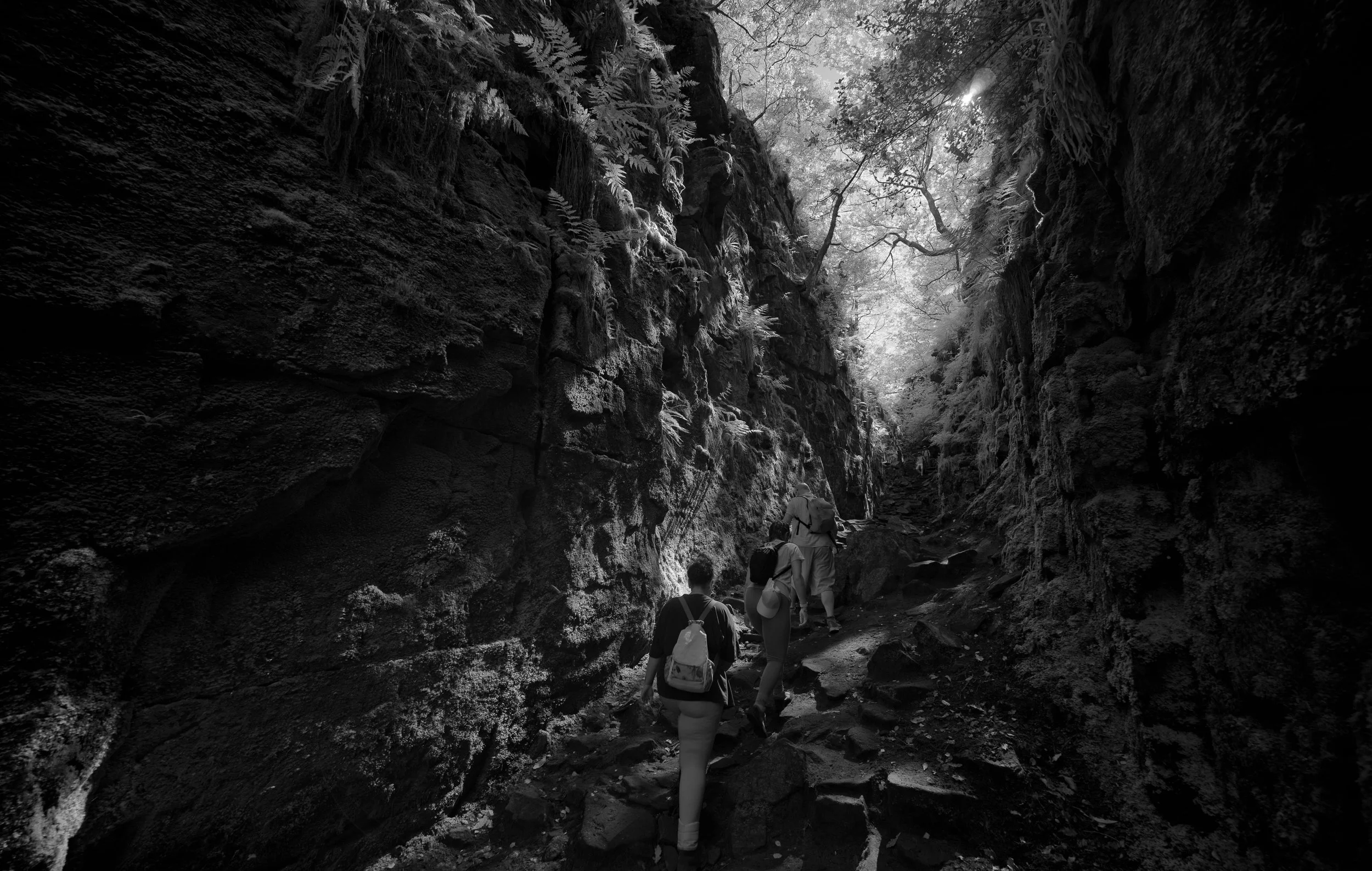 Lud's Church, Staffordshire