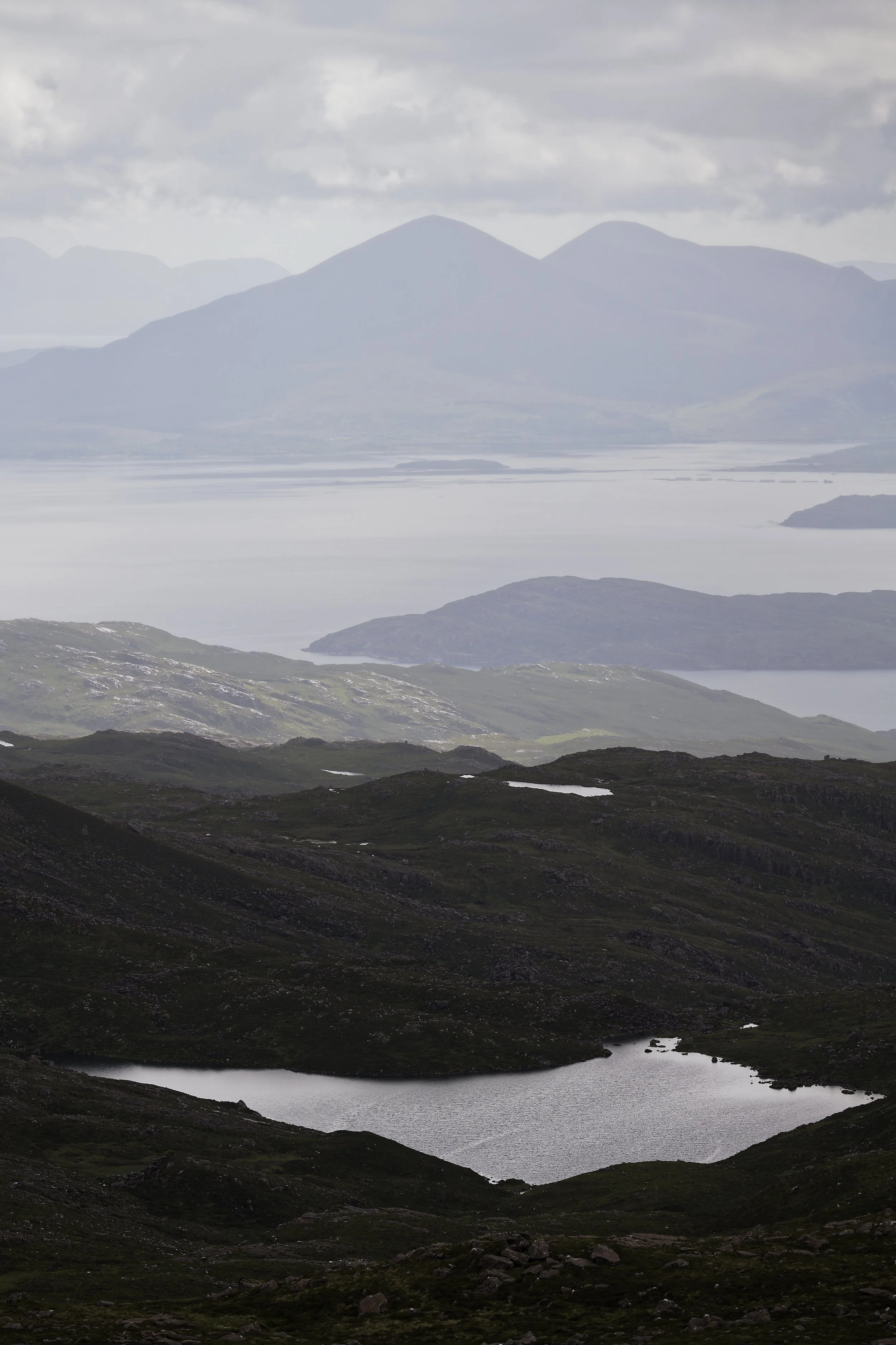 _DSC7958.jpg