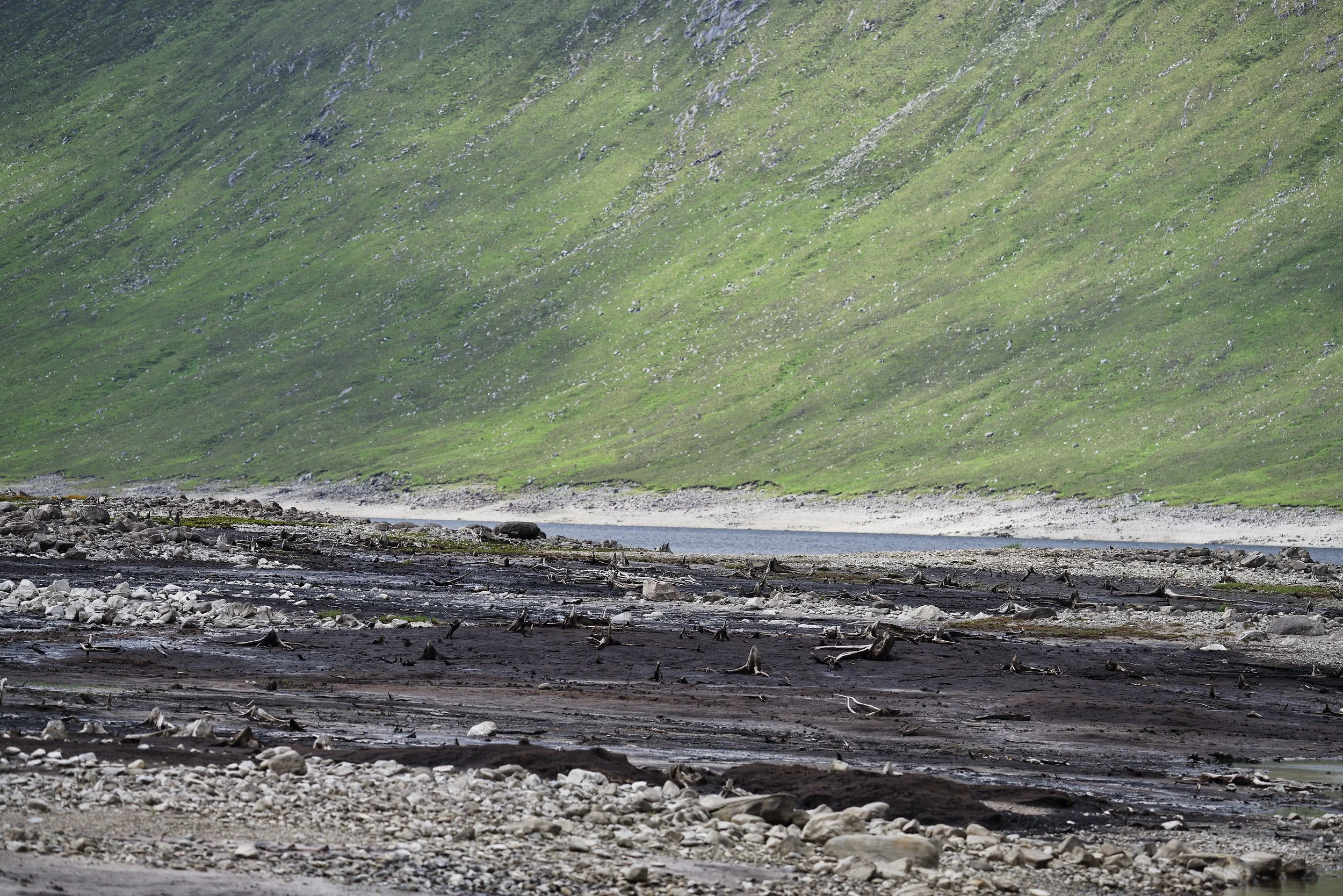 _DSC7850.jpg