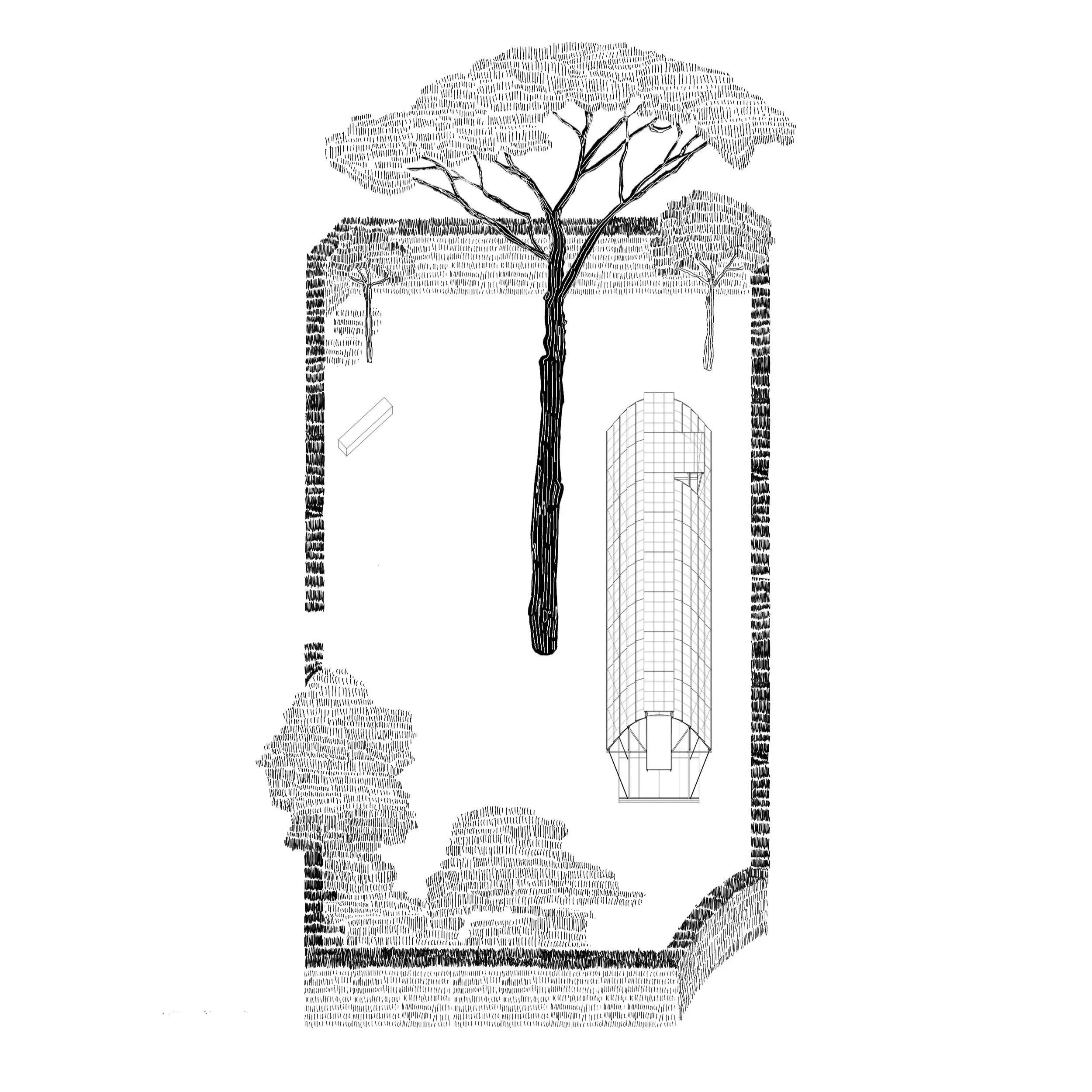 VILLA MEDICI