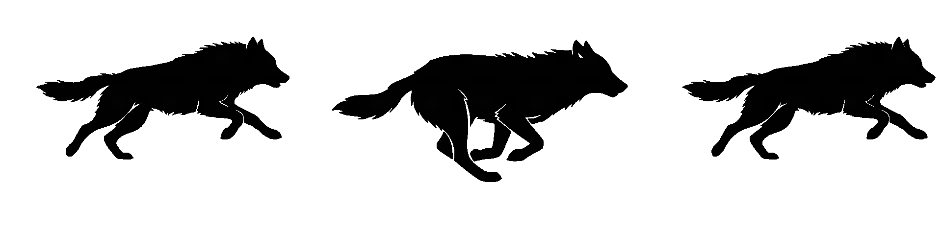 Silhouette of three wolves in different poses against a black background.