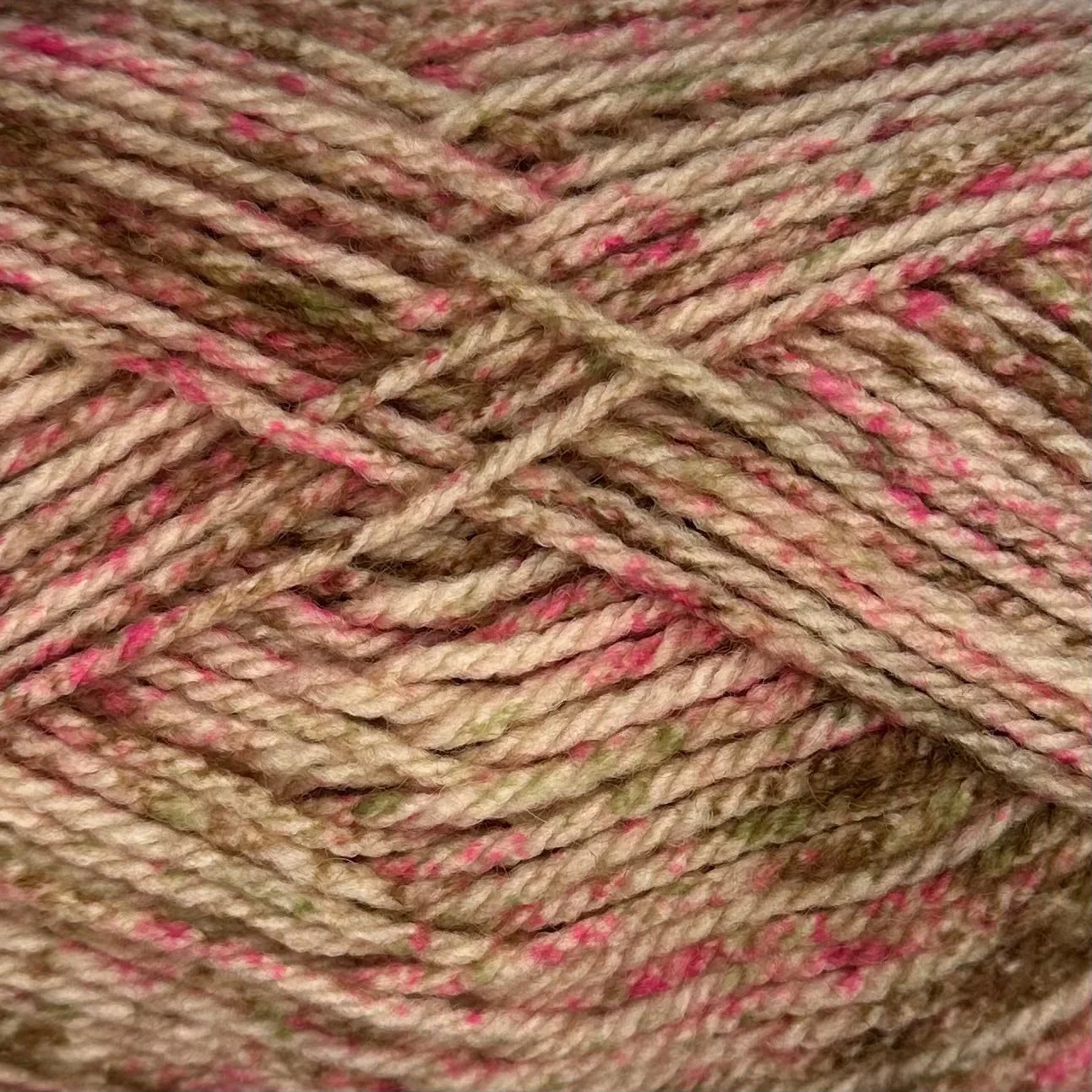 brandy-rose.jpg