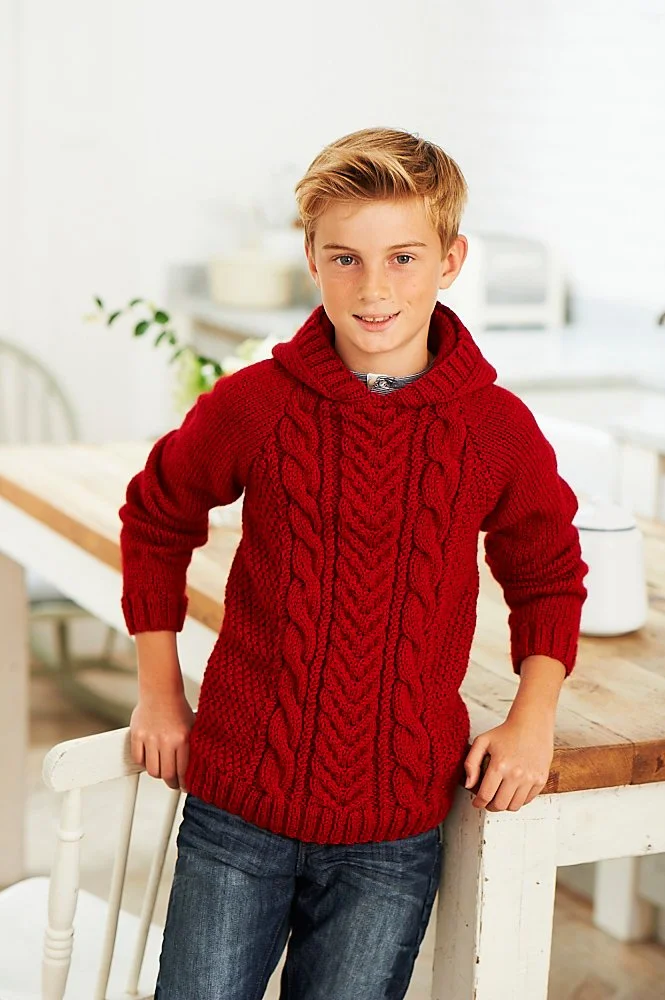 Hoodie in Stylecraft Life Aran (8936) Leaflet