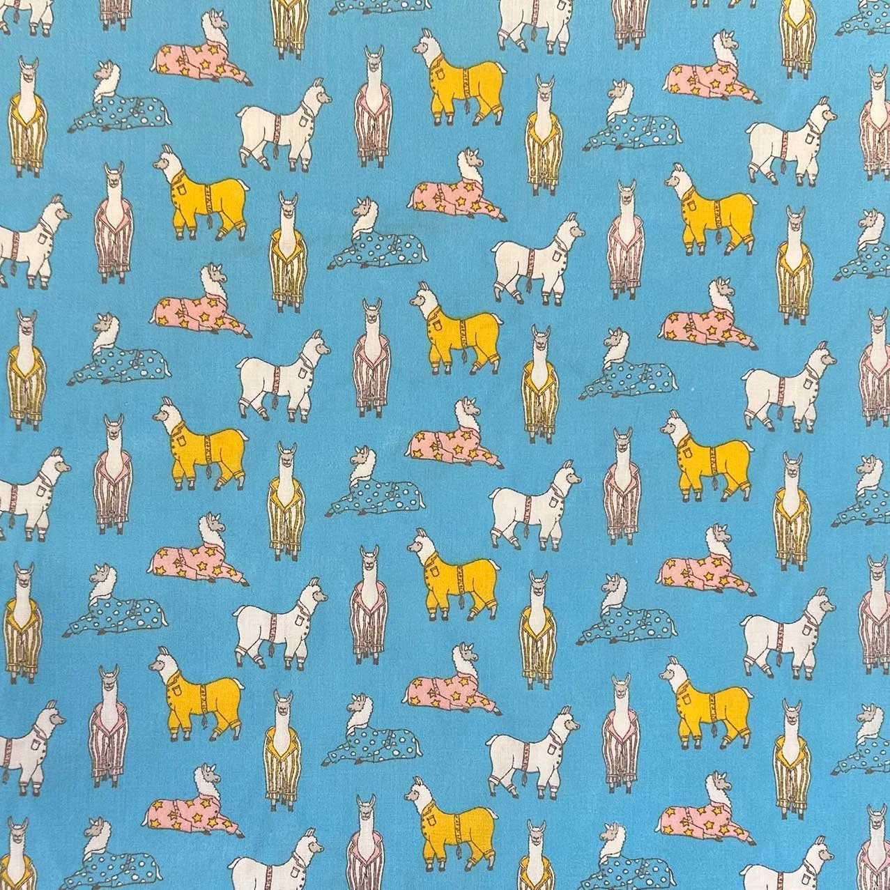 pyjama-lama.jpg