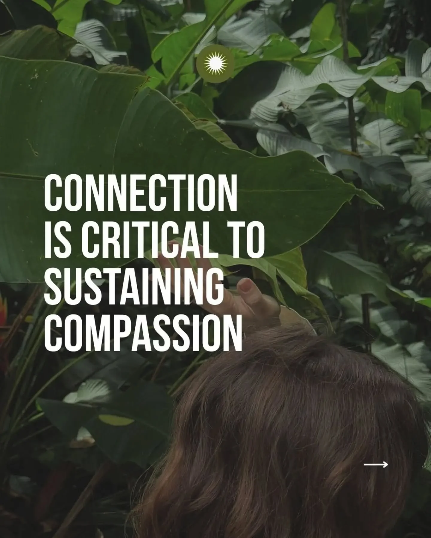 In times of widespread suffering, many people are noticing an unsettling shift: a narrowing of compassion, a pull toward exhaustion, a sense of being overwhelmed rather than opened. 

Compassion is often assumed to be an emotional response that shoul