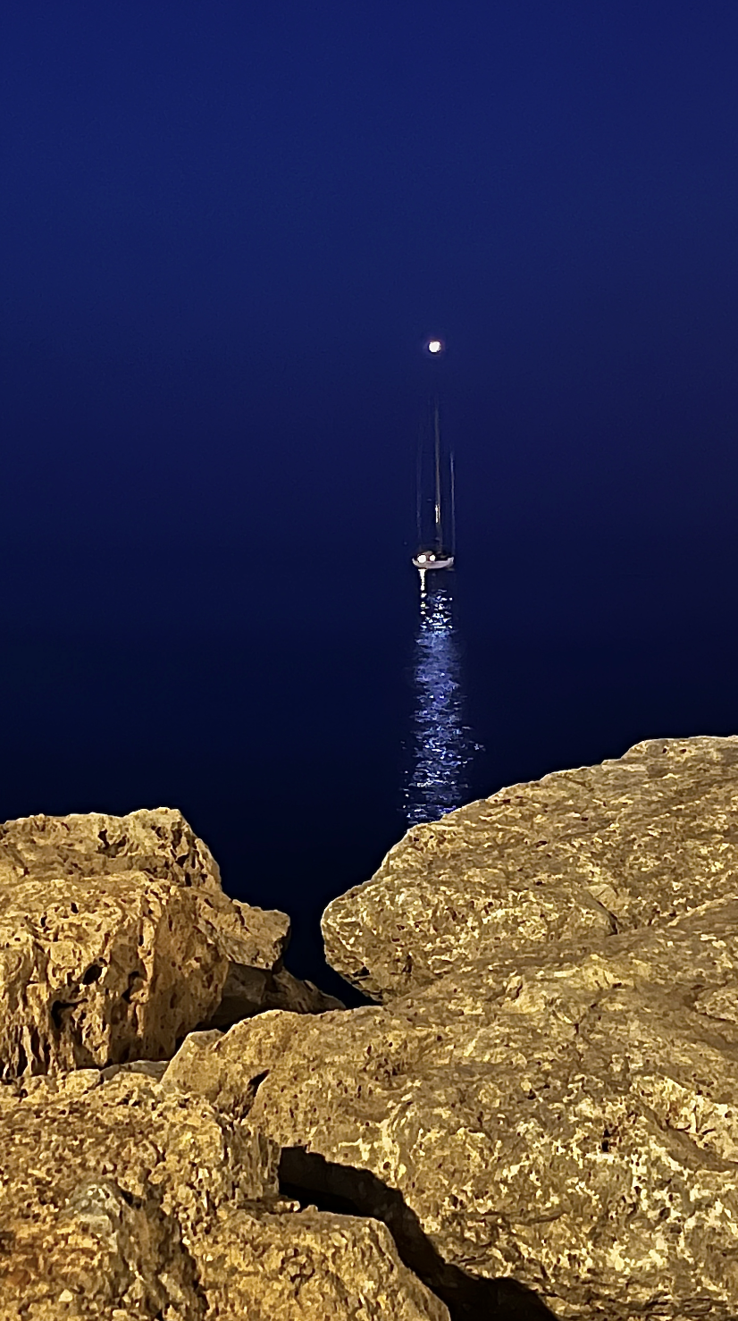 截屏2023-11-17 21.59.48.png