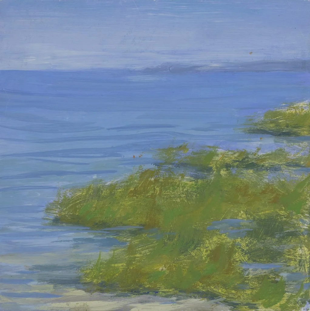 PE grass in water.jpg