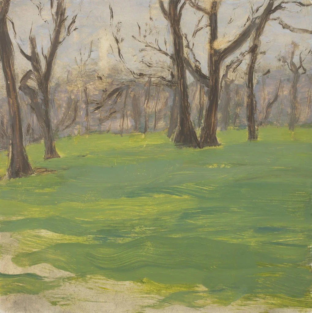 pe rainy trees.jpg