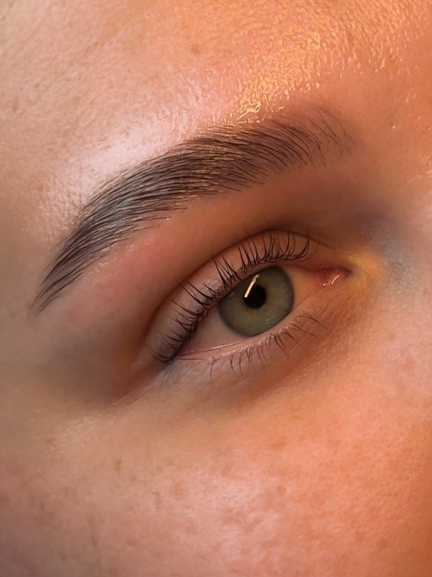 Brow lamination and tint creating fuller brows at BLINK Beauty studio in Renfrew