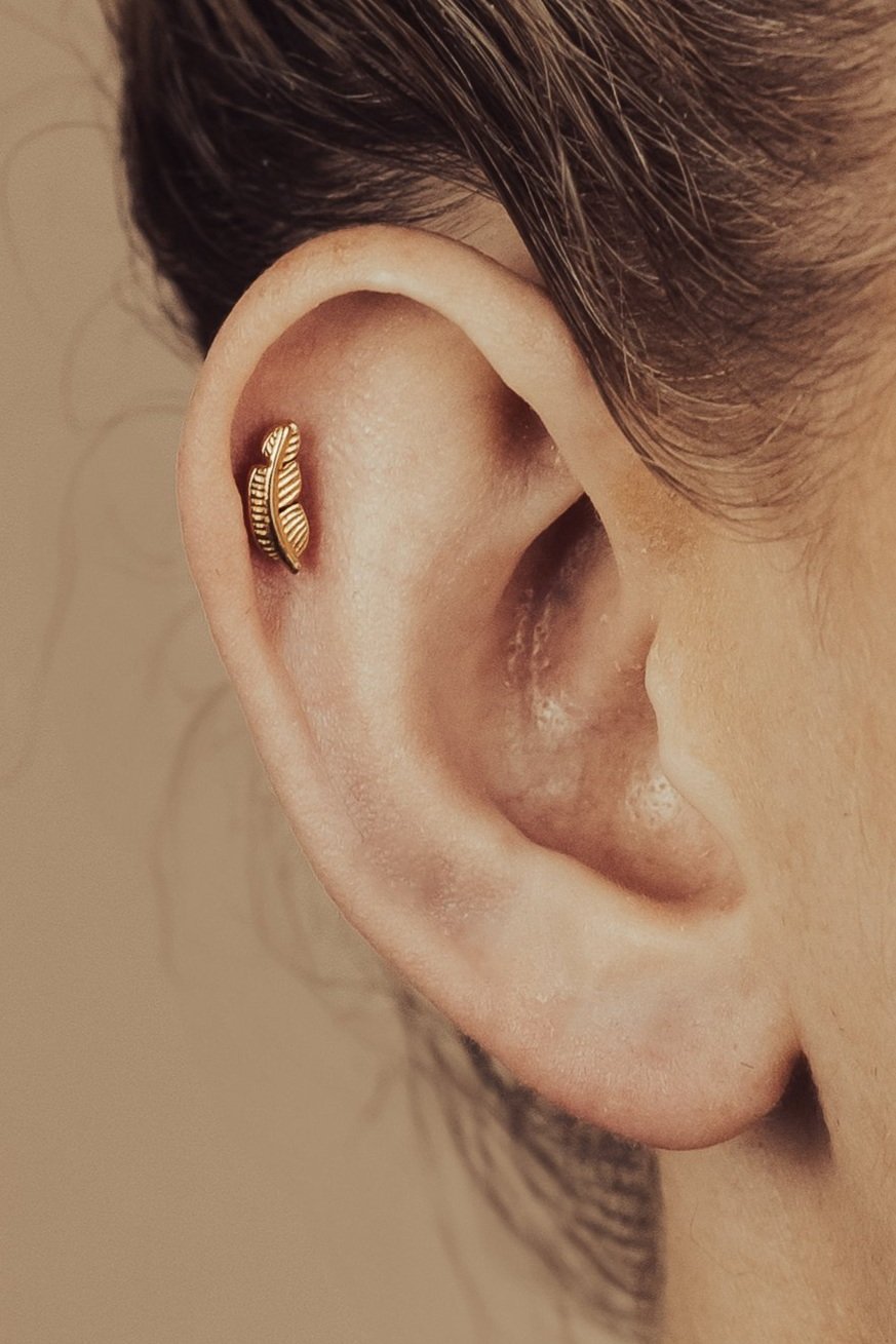 BLIN+ON+EAR-095.jpg
