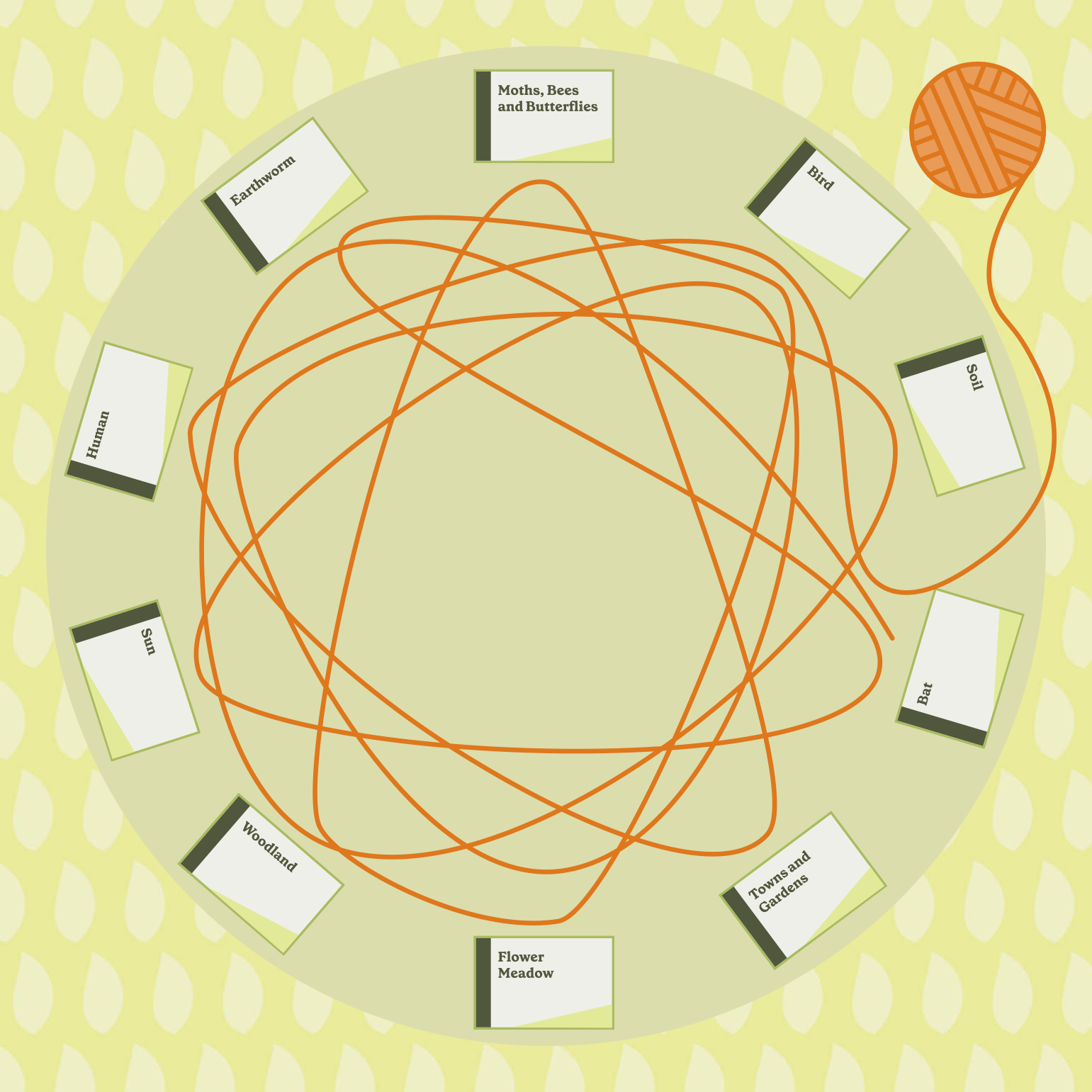 BE illo gif copy2.png