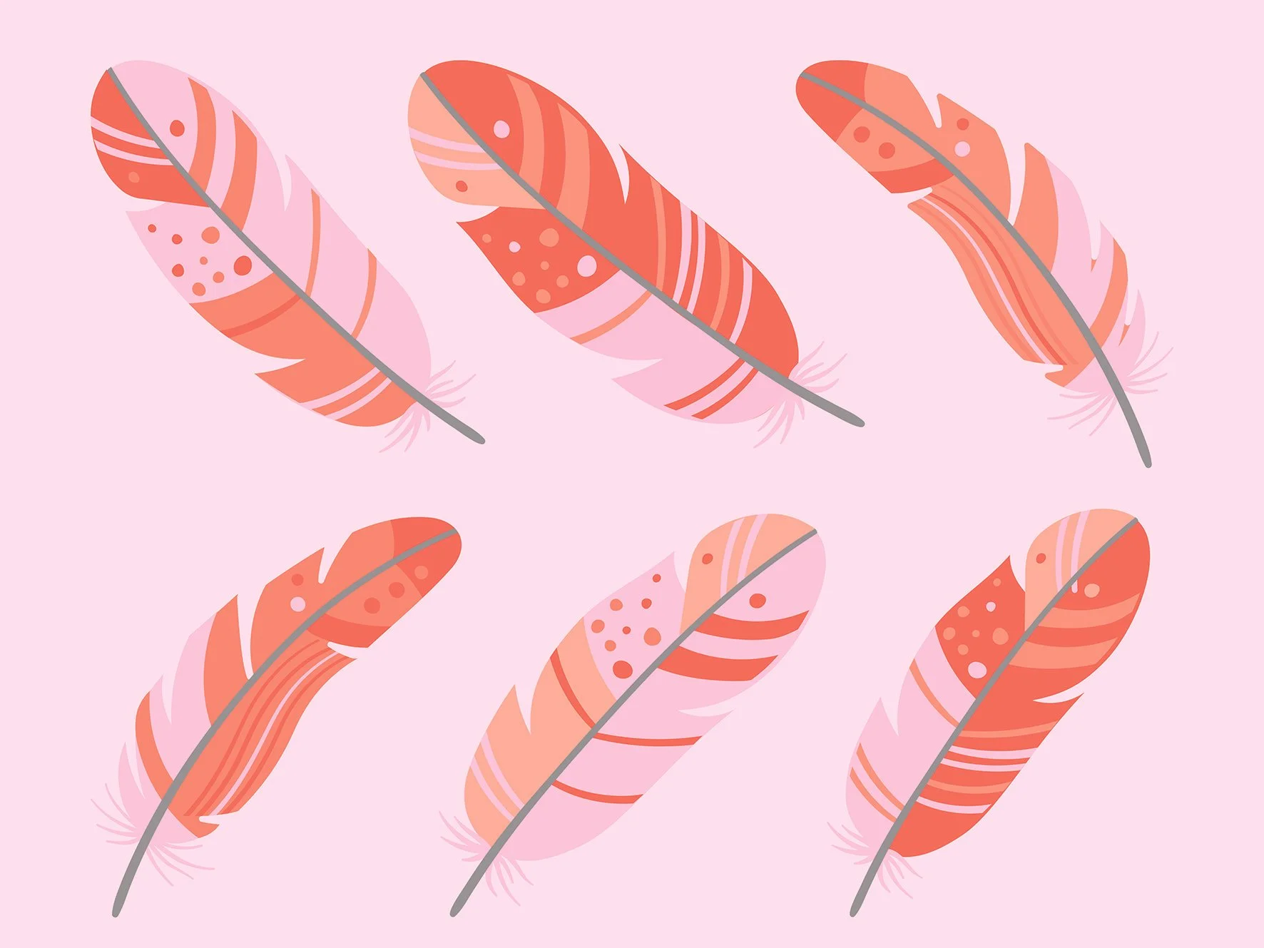 feathers.jpg