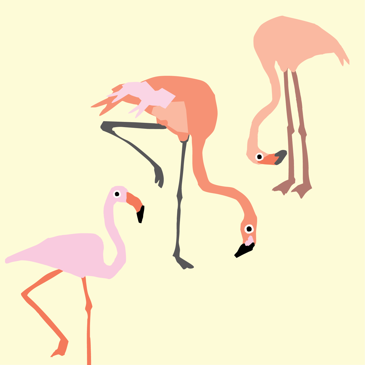 flamingo_illustration-07.png