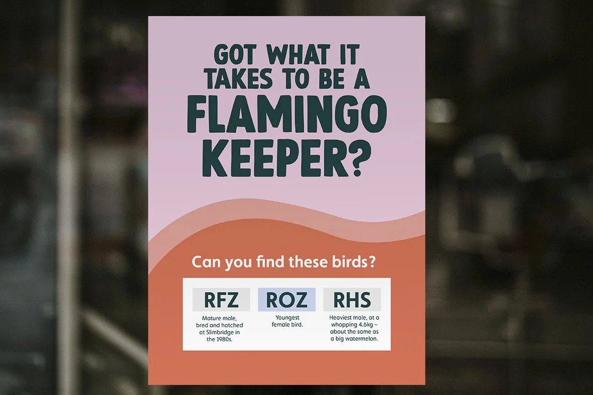 flamingo keeper poster copy.jpg
