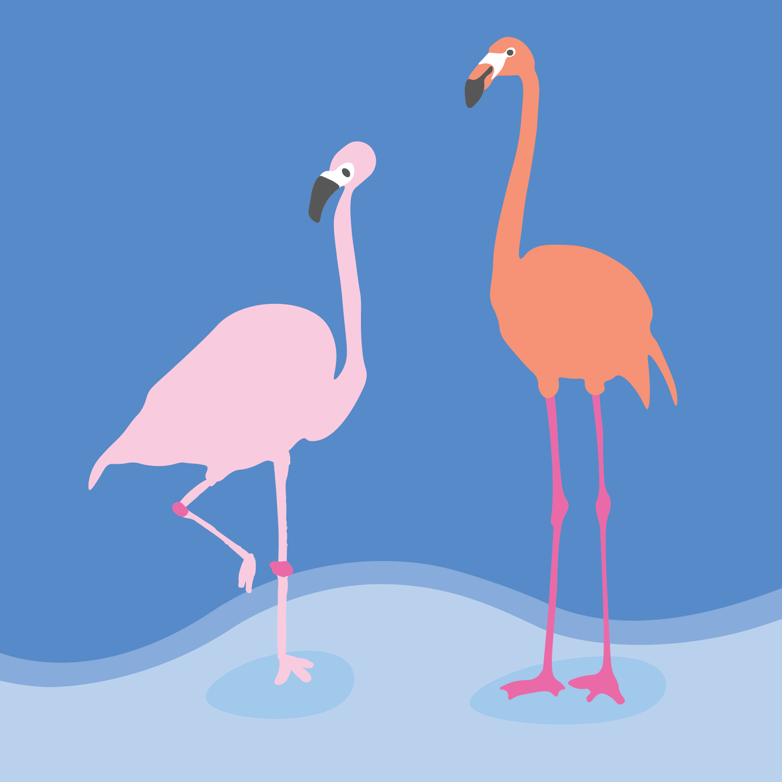 flamingo_illustration-06.png