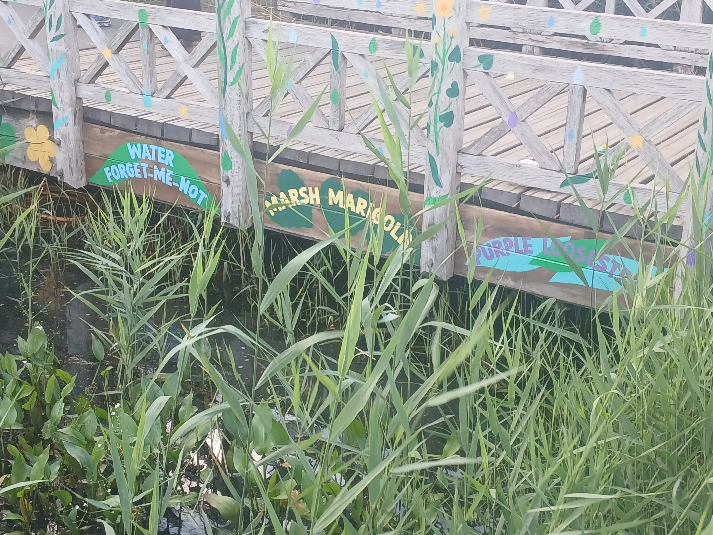 20260917_172017.jpg