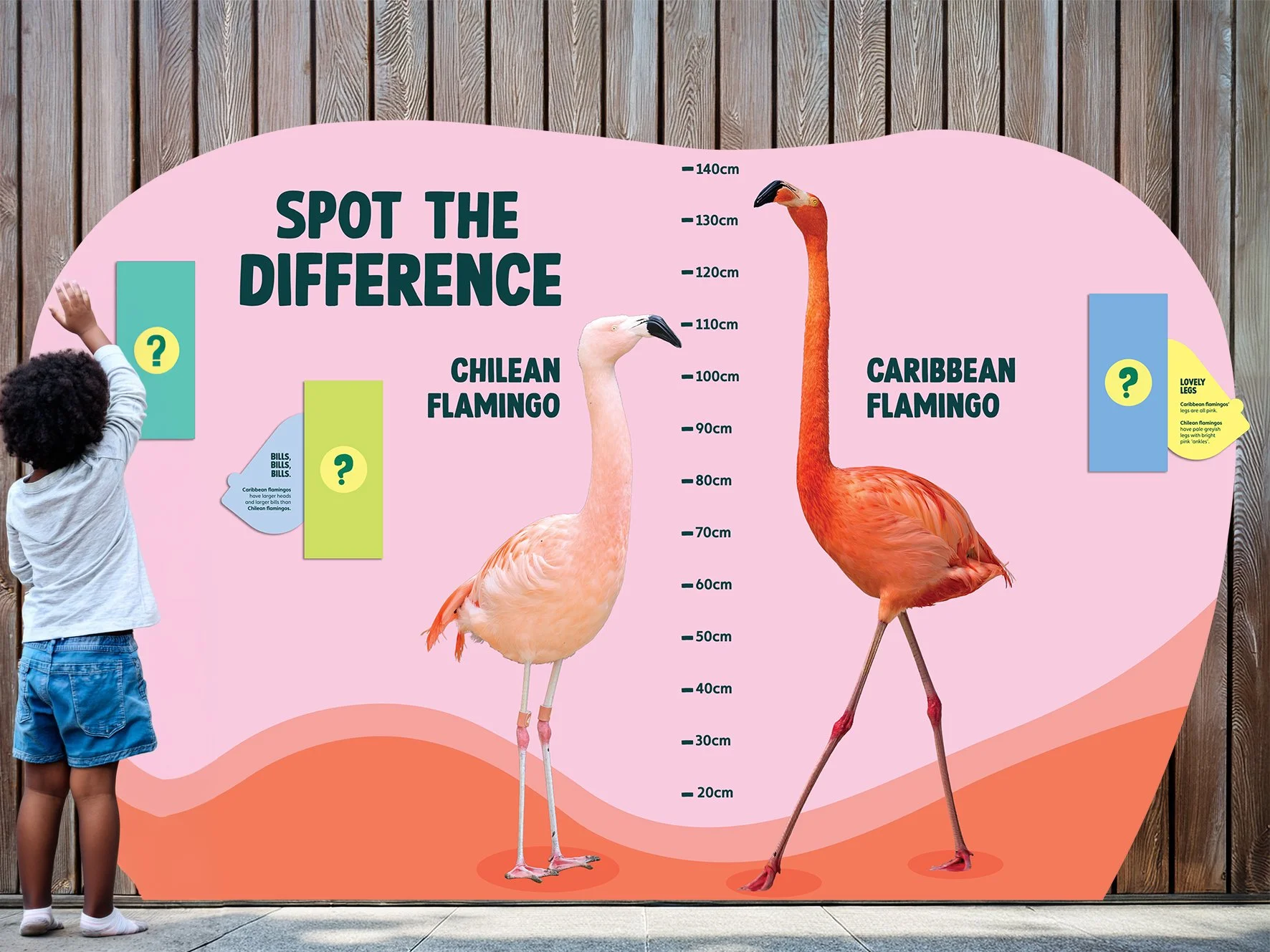 spot the diff copy.jpg