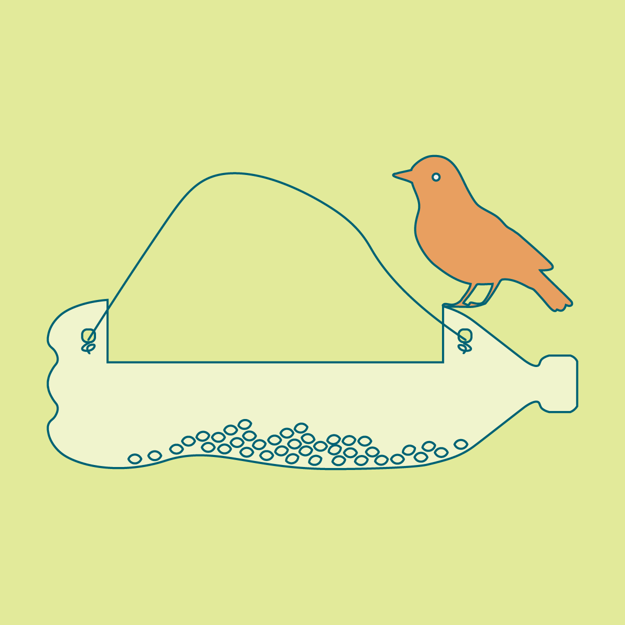 bird + spider diagrams-06.png