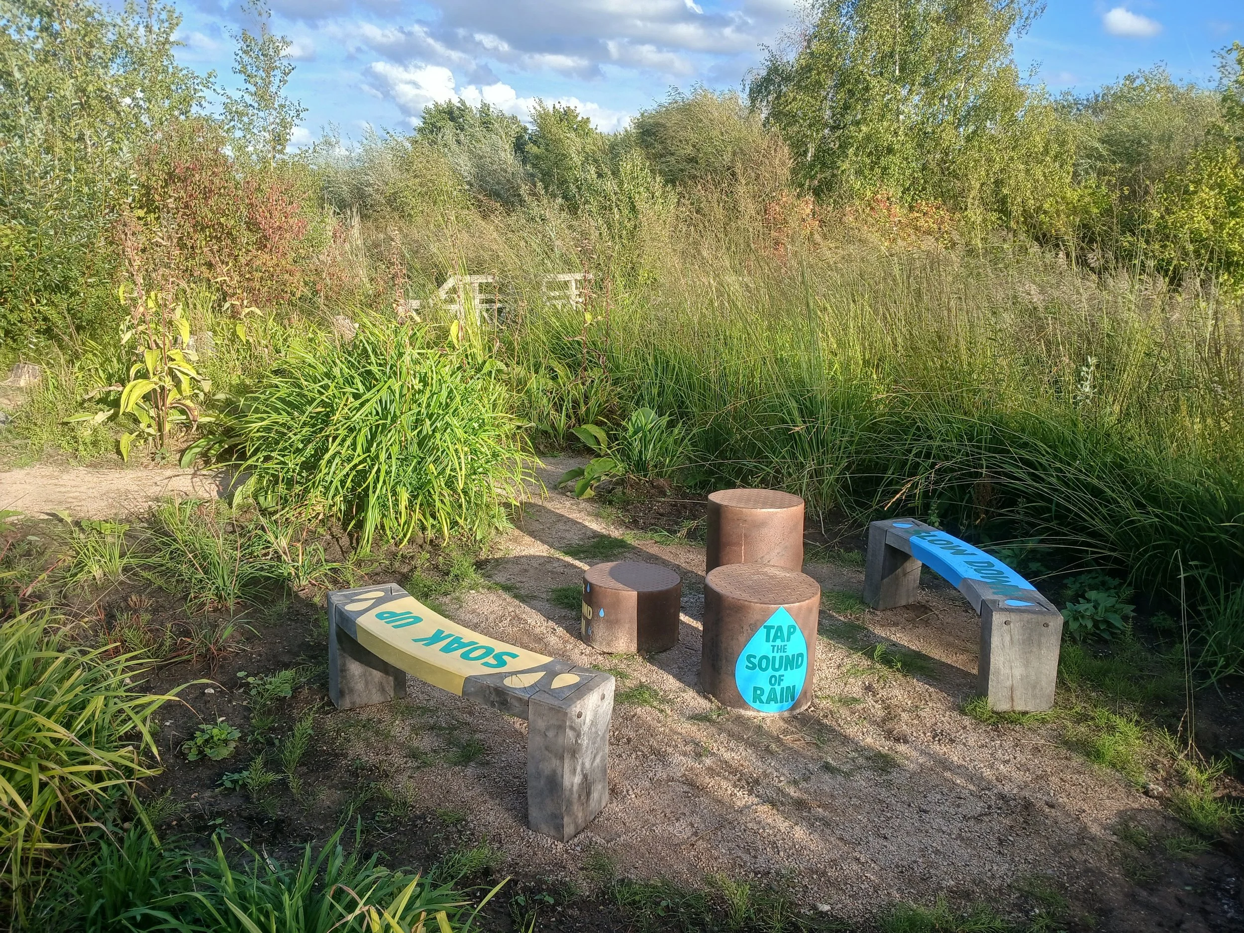 20260917_172600.jpg
