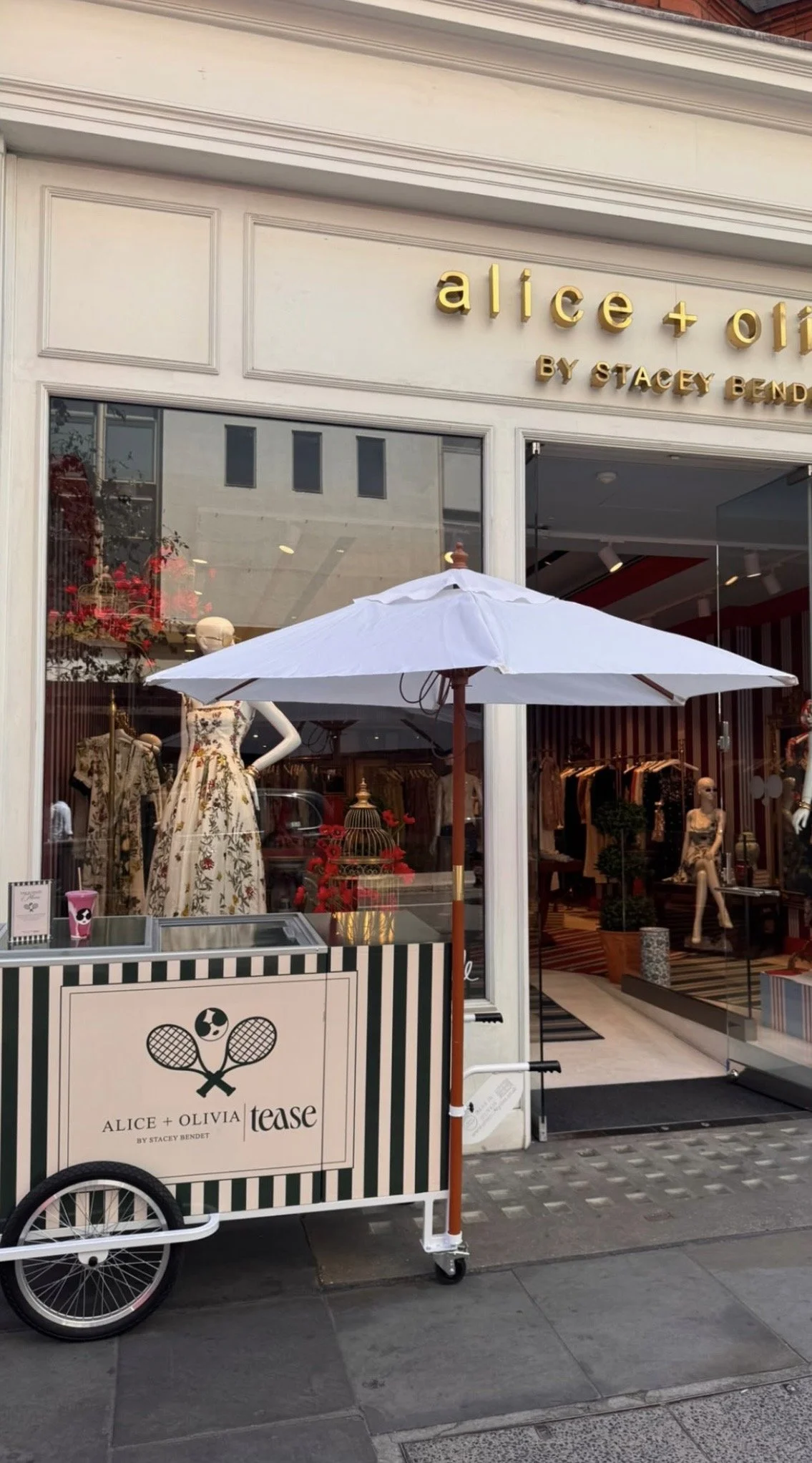 IMG_2339.jpg