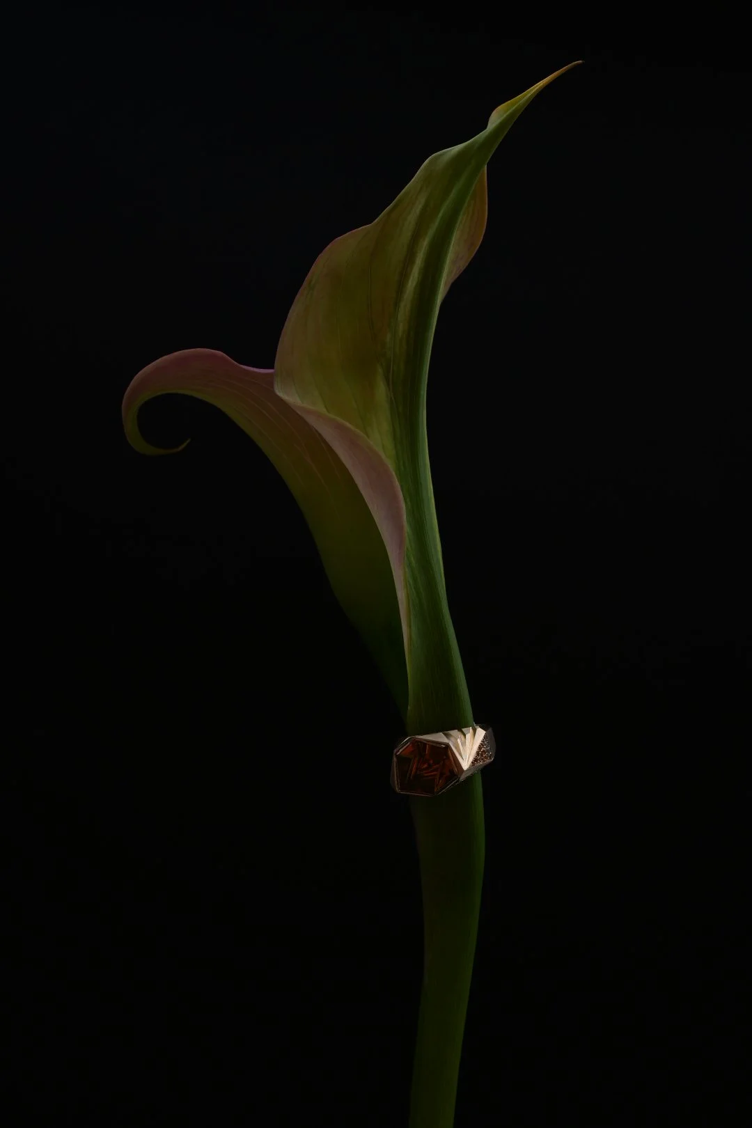 DSC_1466.JPG