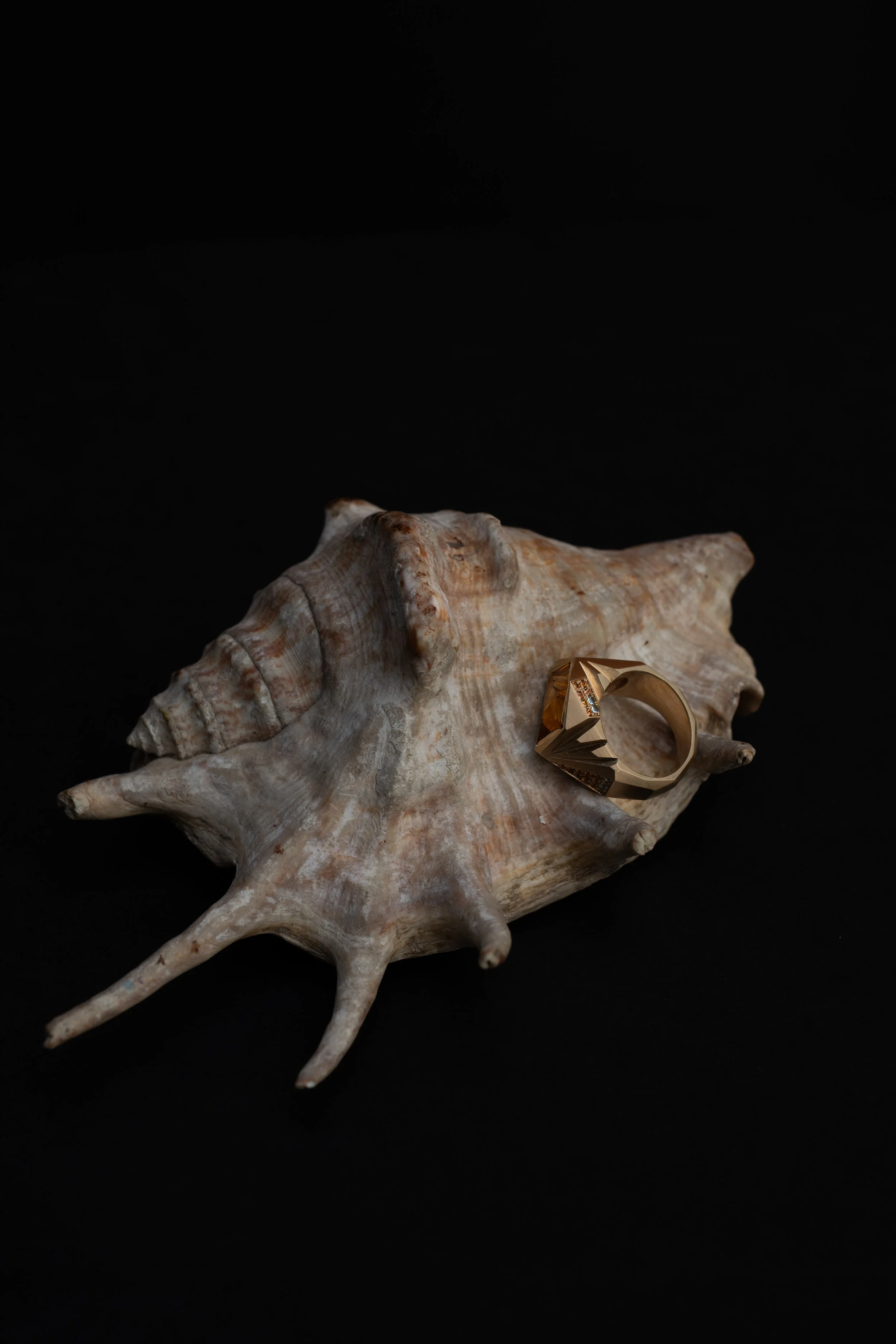 DSC_1875.JPG