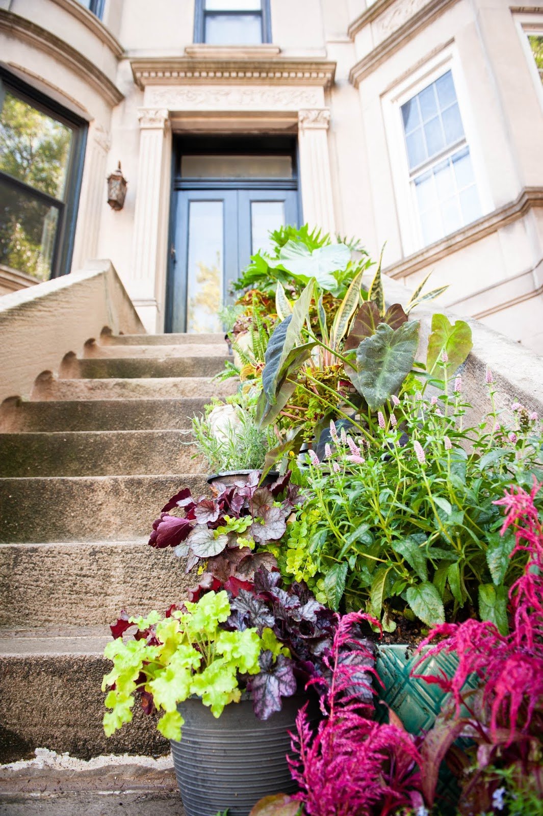 Outdoor stairway with various potted plants and flowers leading to an entrance of a residential building with large windows.