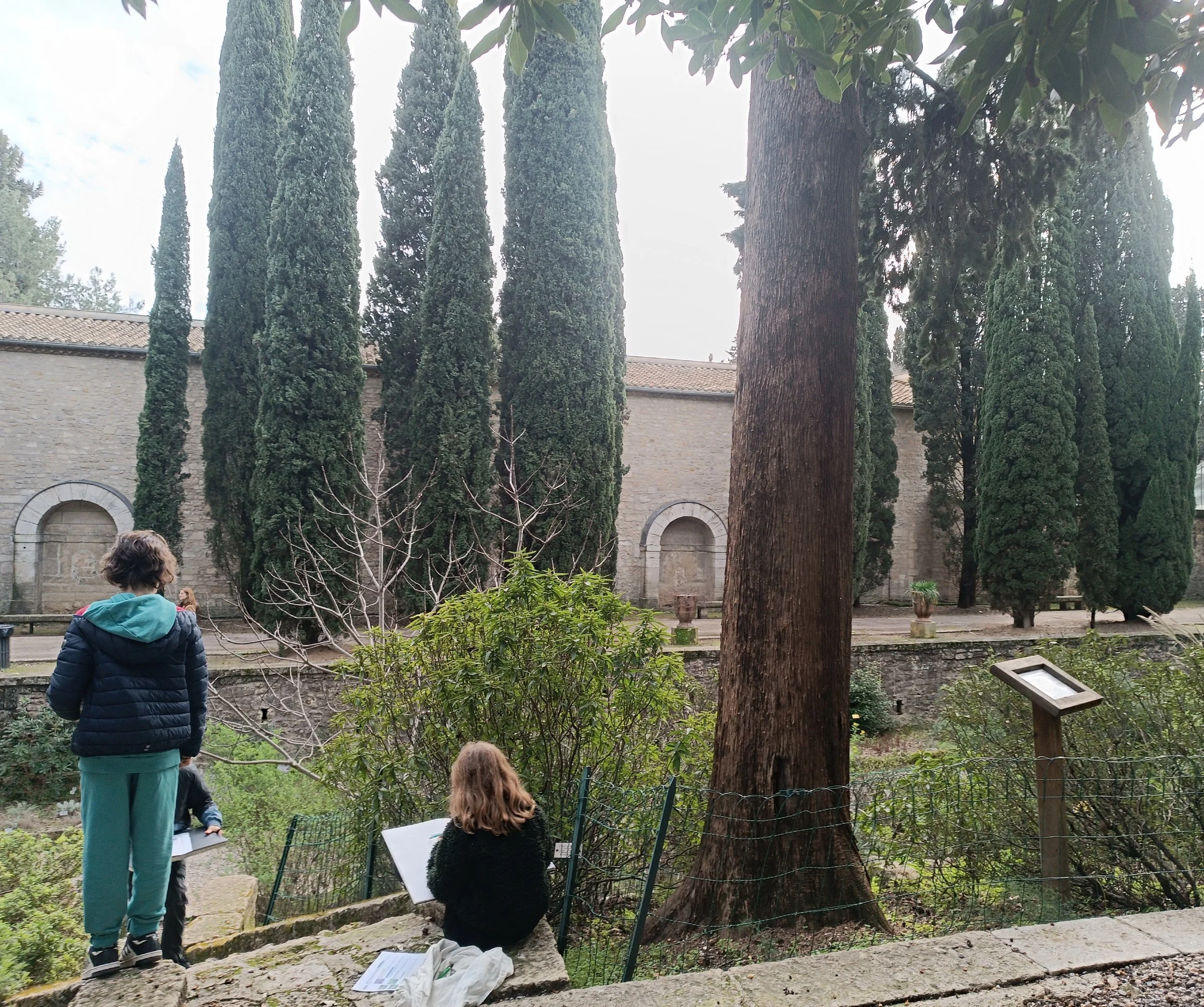 dessin jardin plantes.jpg