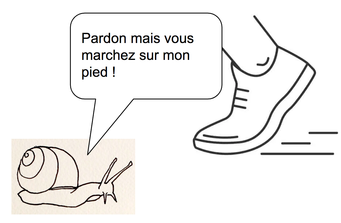 image de escargot pied.png