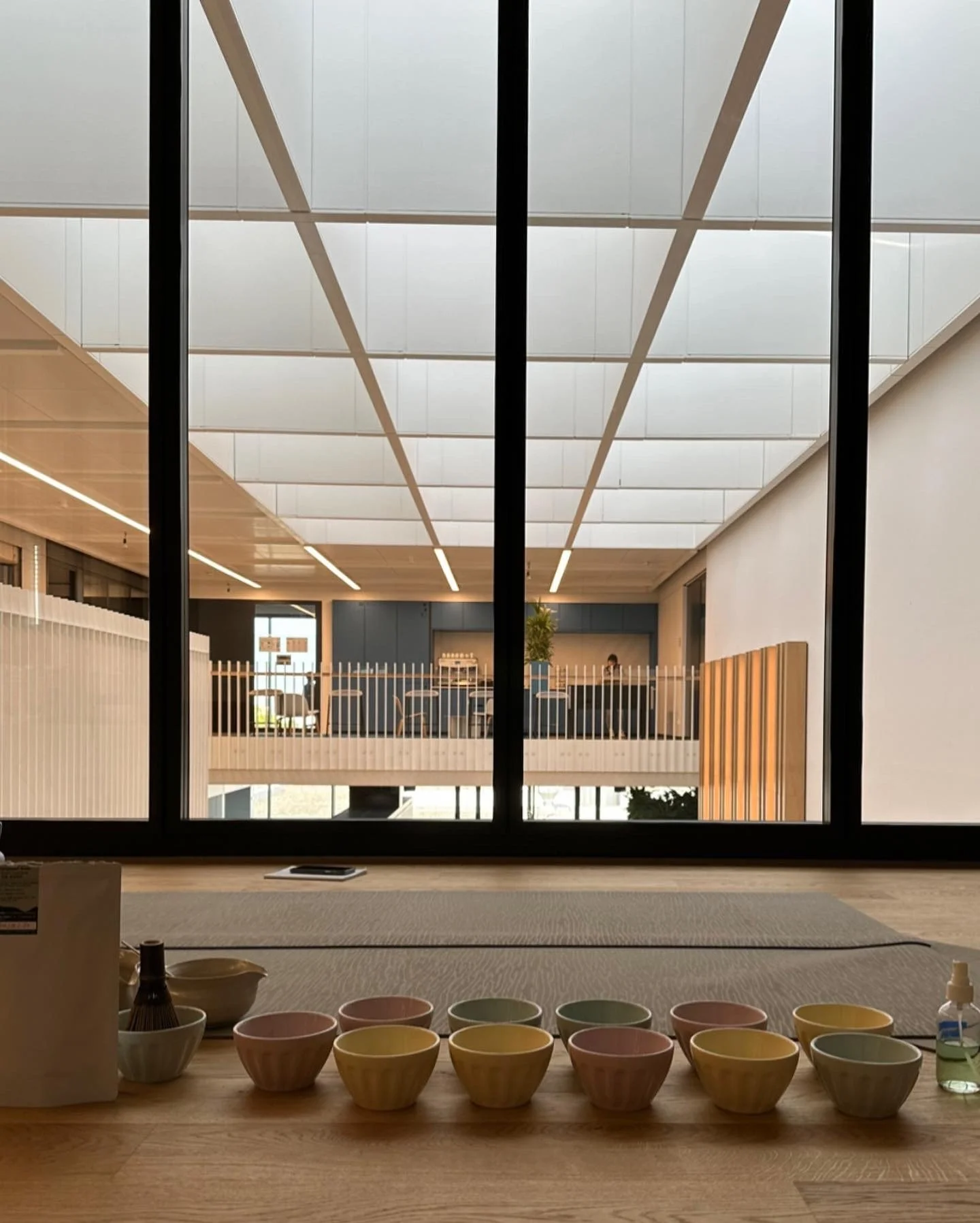 Corporate tea ceremony - Siemens Healthineers 