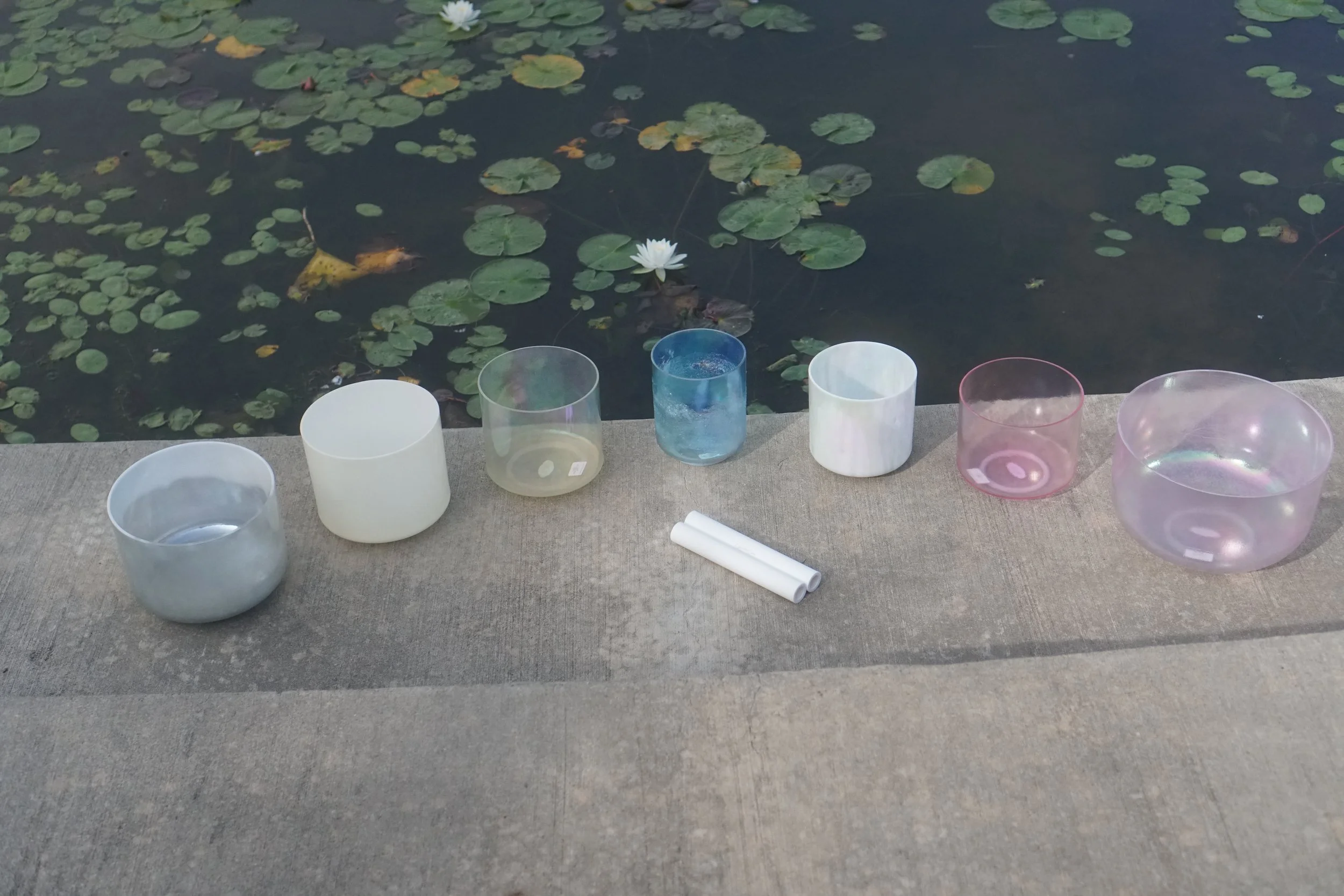 Sakura infused cacao + sound journey - Nuremberg, Germany