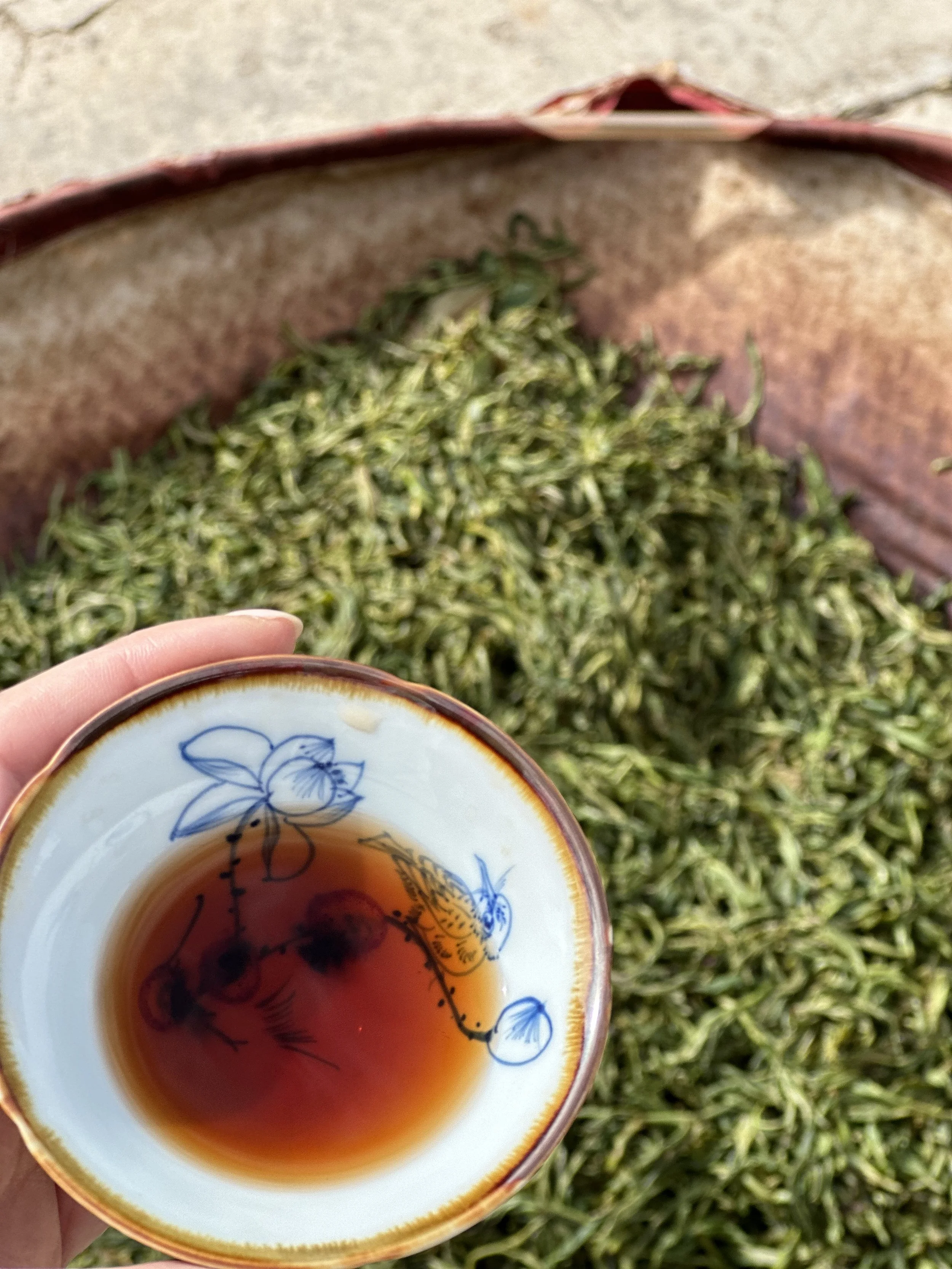 New Year Ritual with Lauren - Nuremberg, Germany