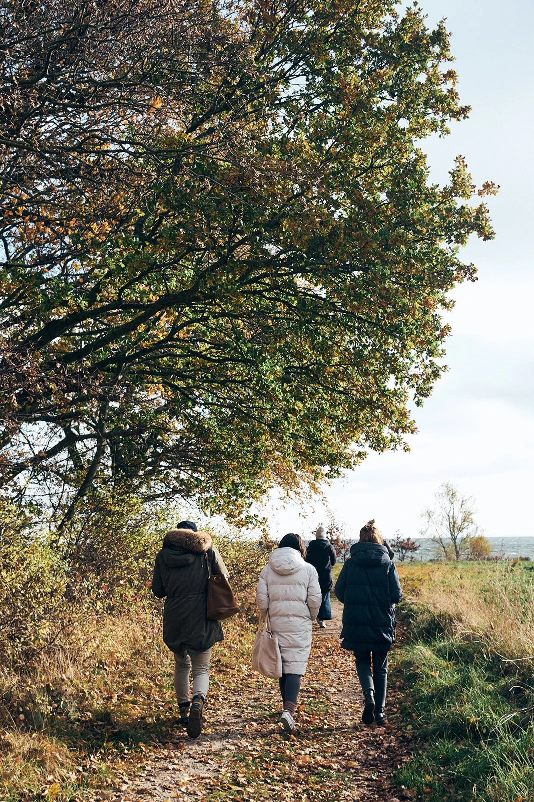 KINDCLUB_INNER LANDSCAPE RETREAT RÜGEN_SOPHIE KIRCHNER.jpg