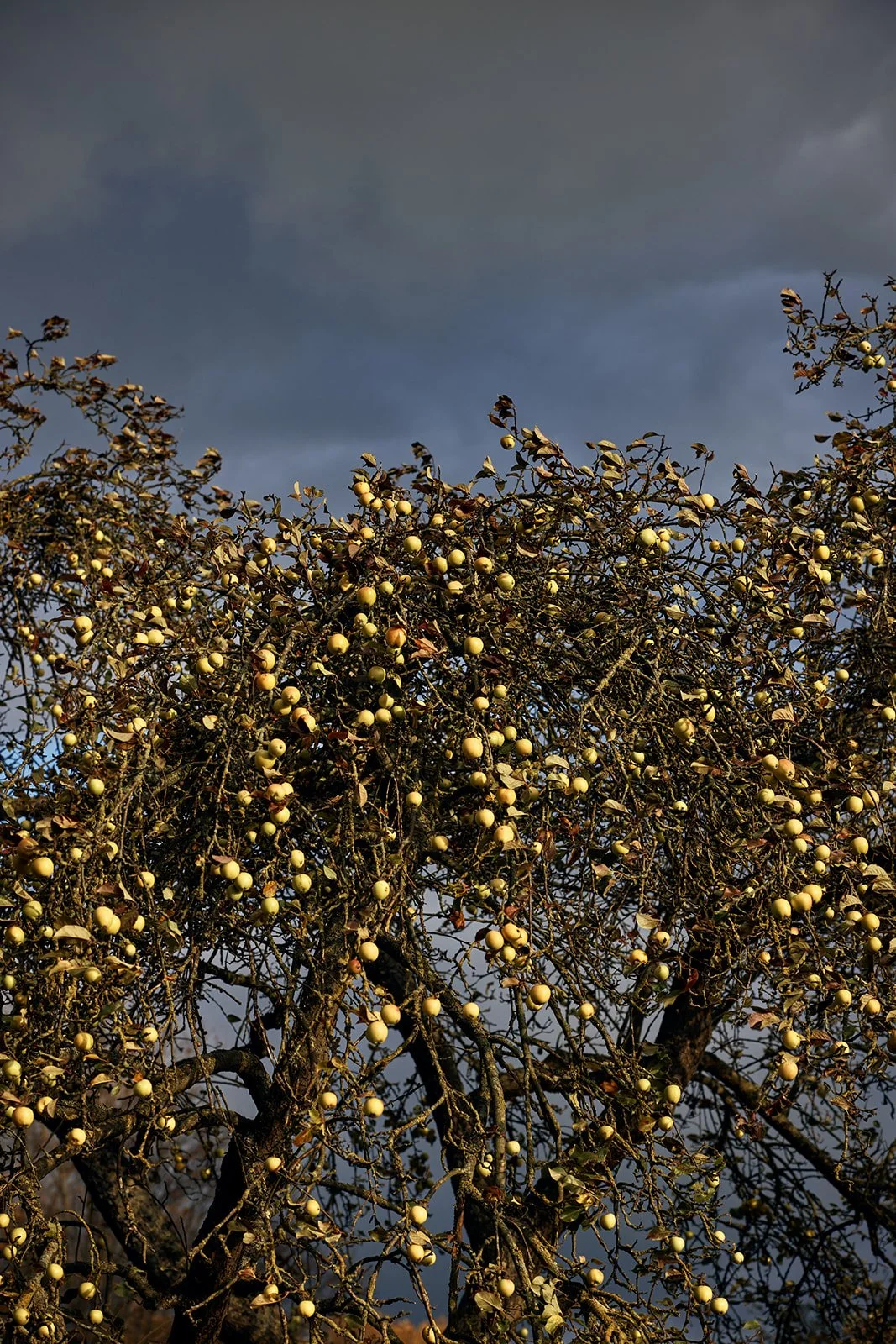 KINDCLUB_INNER LANDSCAPE RETREAT RÜGEN_SOPHIE KIRCHNER 54.jpg