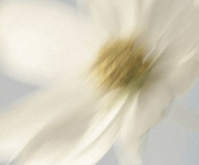 Screenshot 2023-11-18 at 6.19.22 PM.png