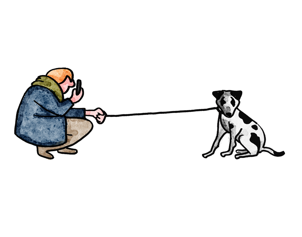 Dog's life.