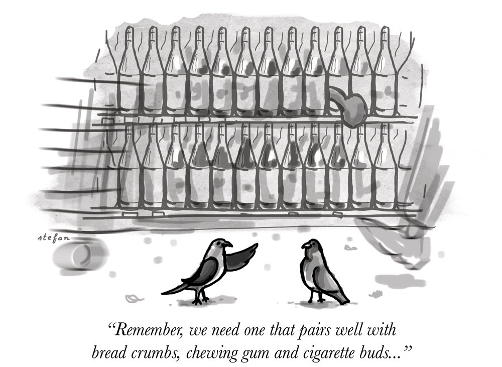 NY_Pigeons.jpg