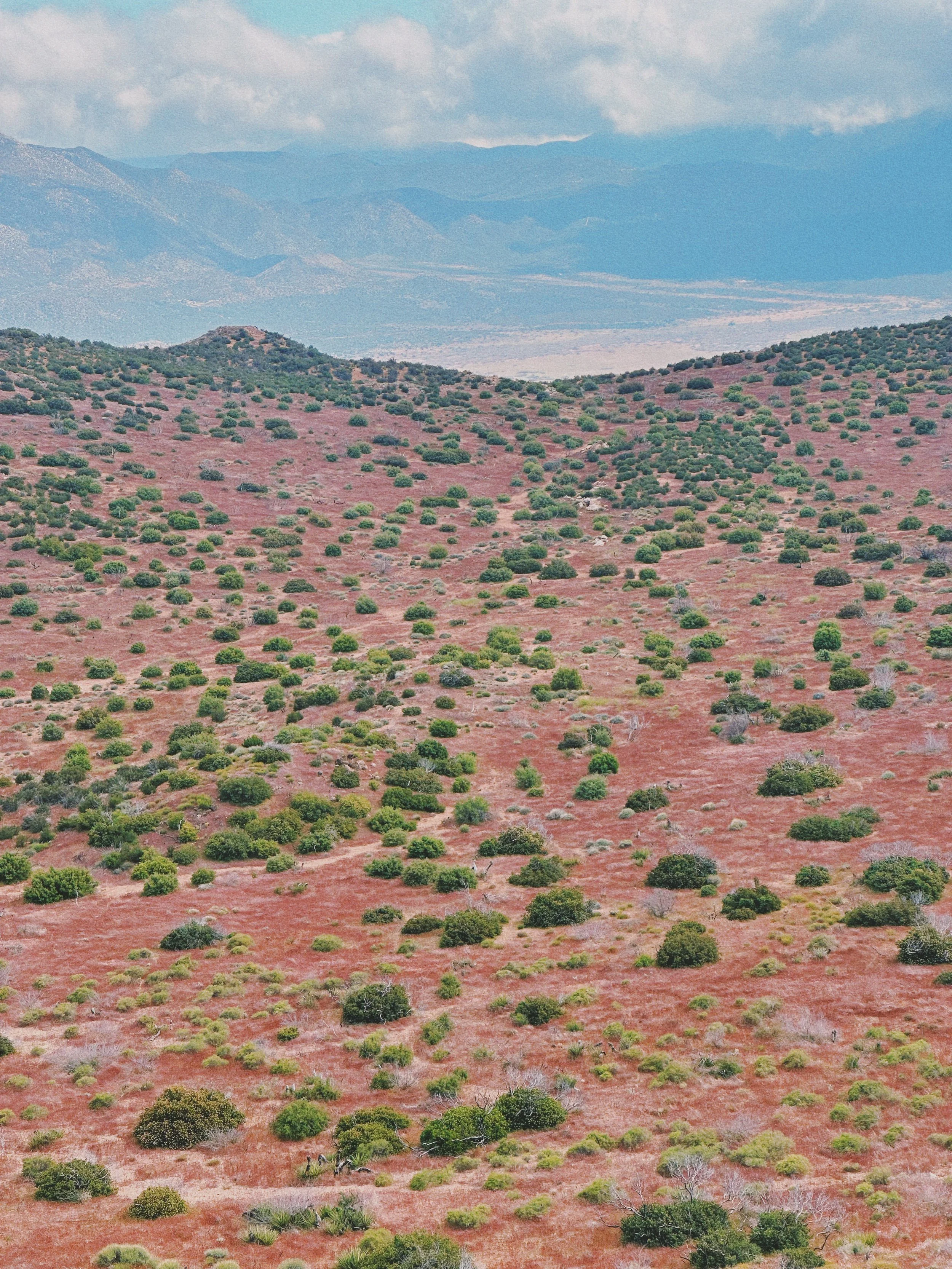 Pacfic Crest Trail. Desert. 2024.
