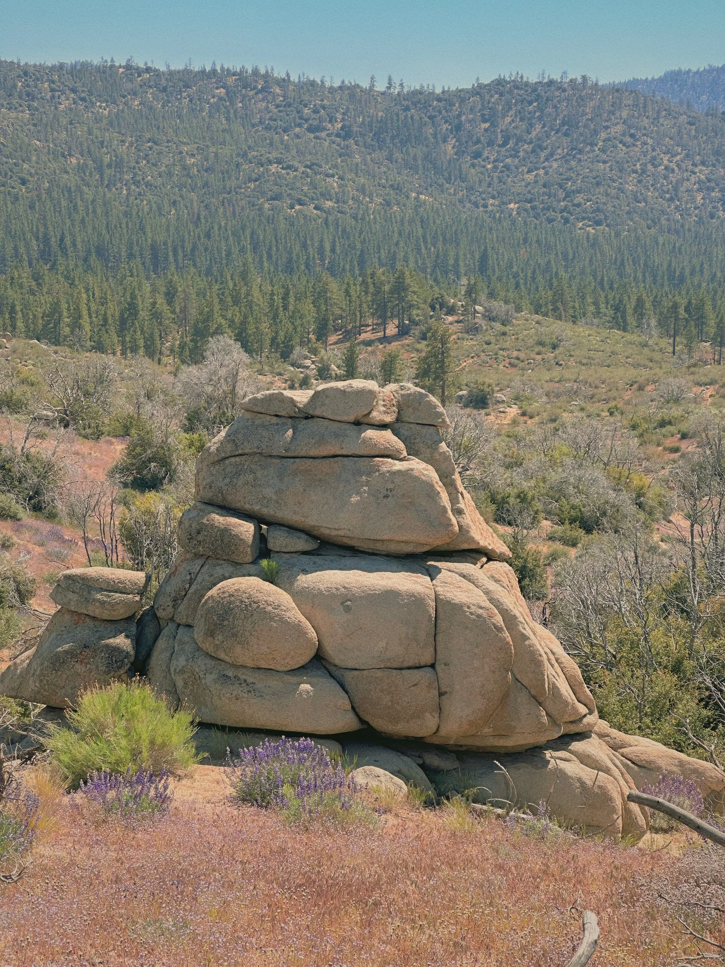 Pacfic Crest Trail. Desert. 2024.