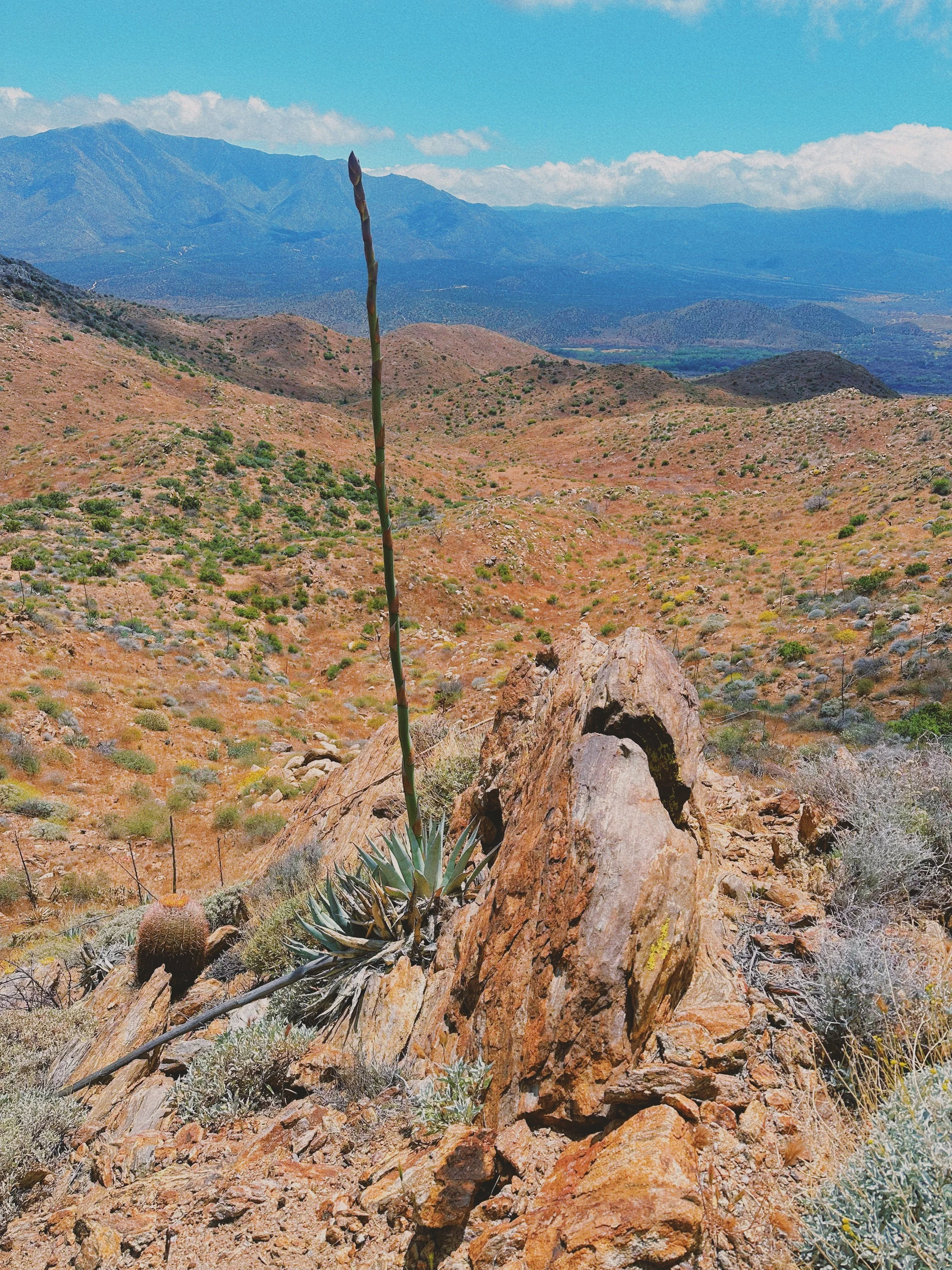 Pacfic Crest Trail. Desert. 2024.