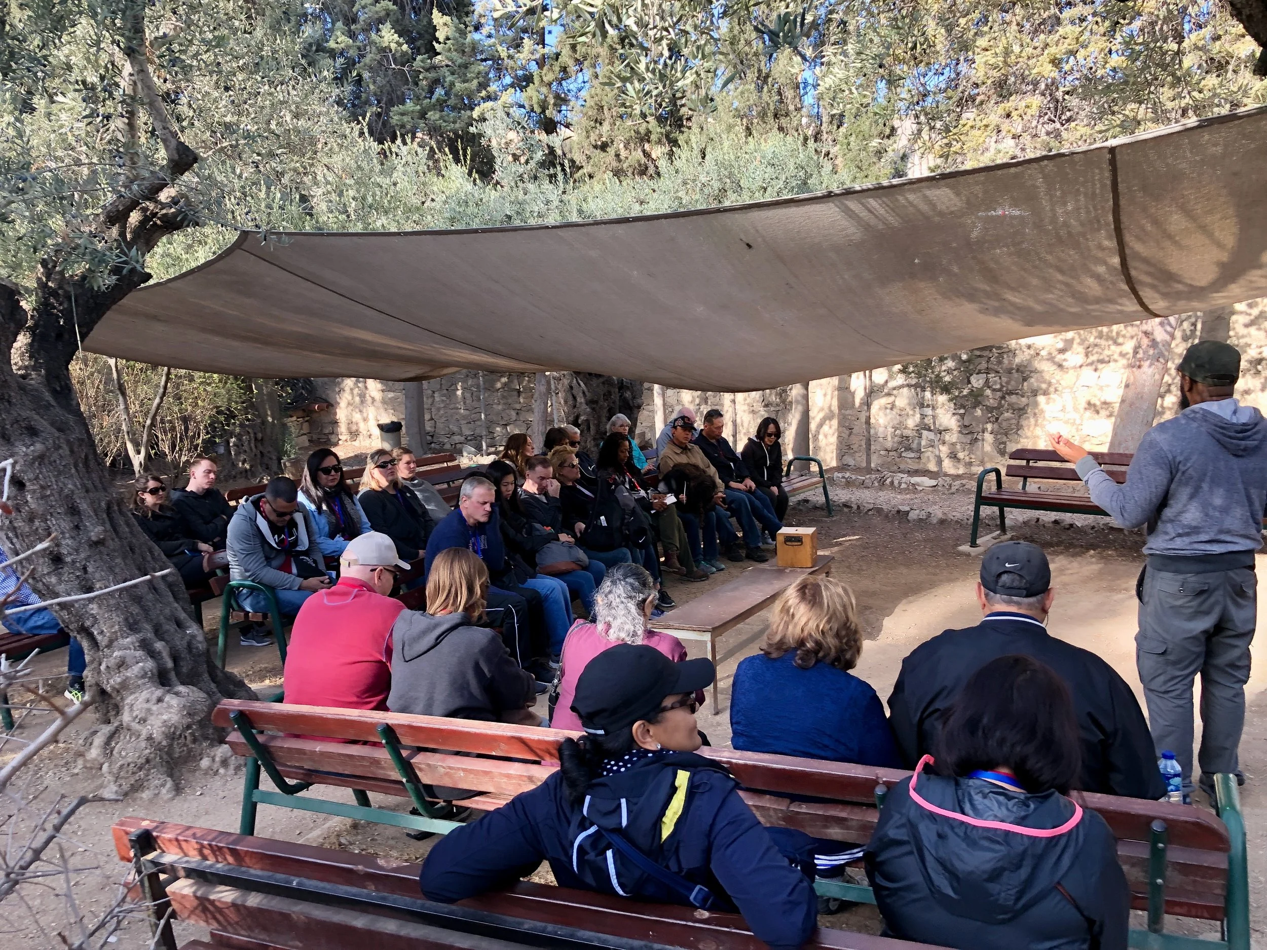 4 - Garden of Gethsemane.jpeg