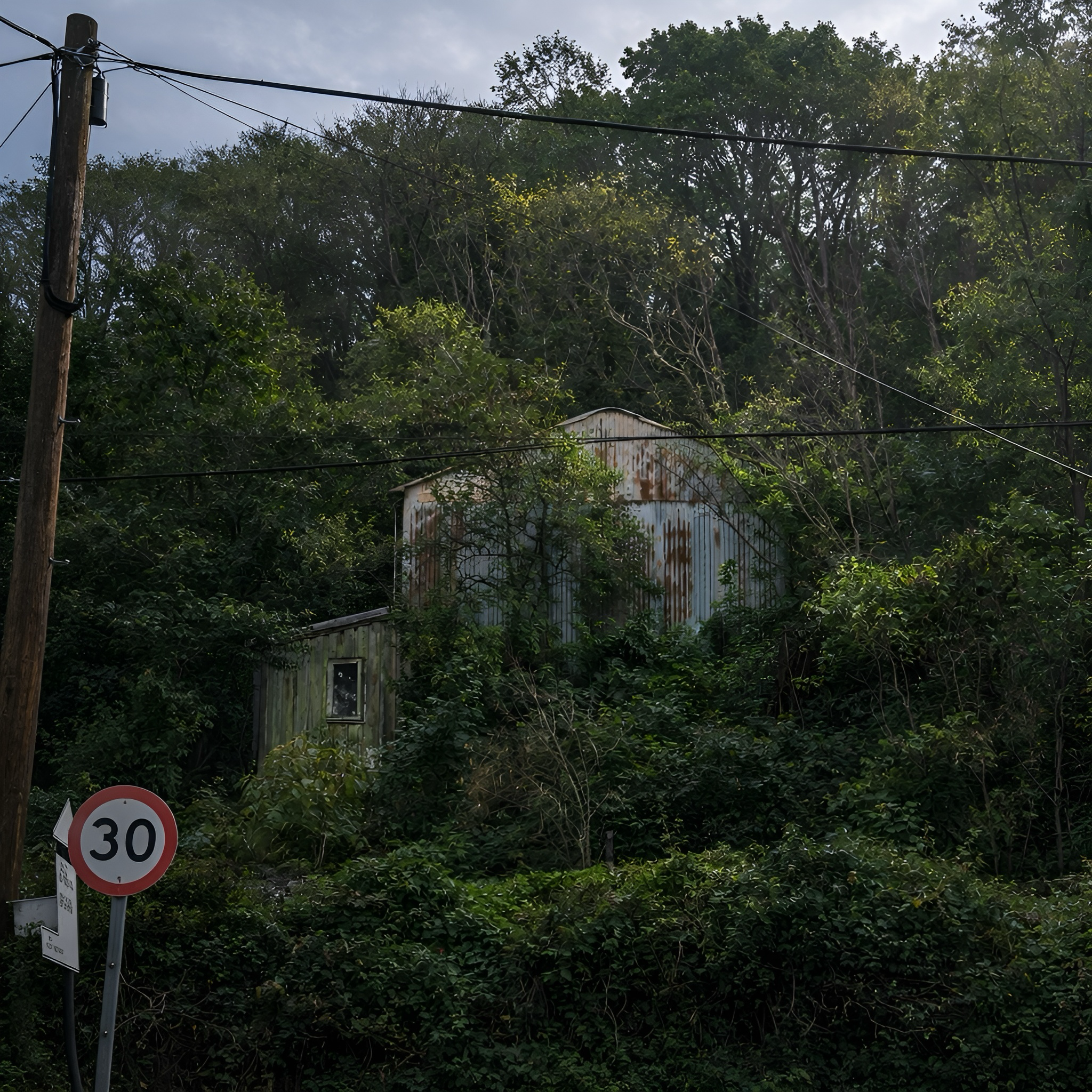 The White House Studio