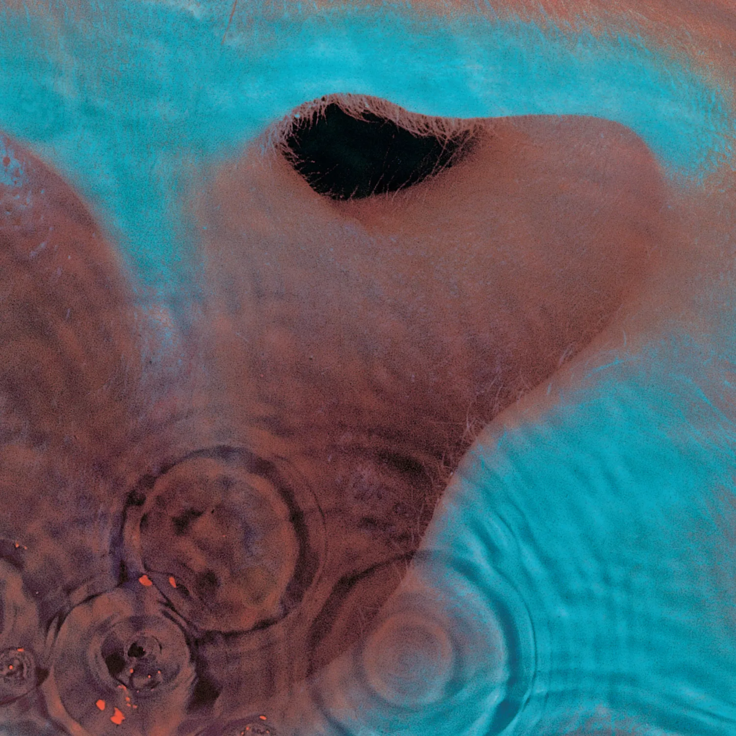 MEDDLE